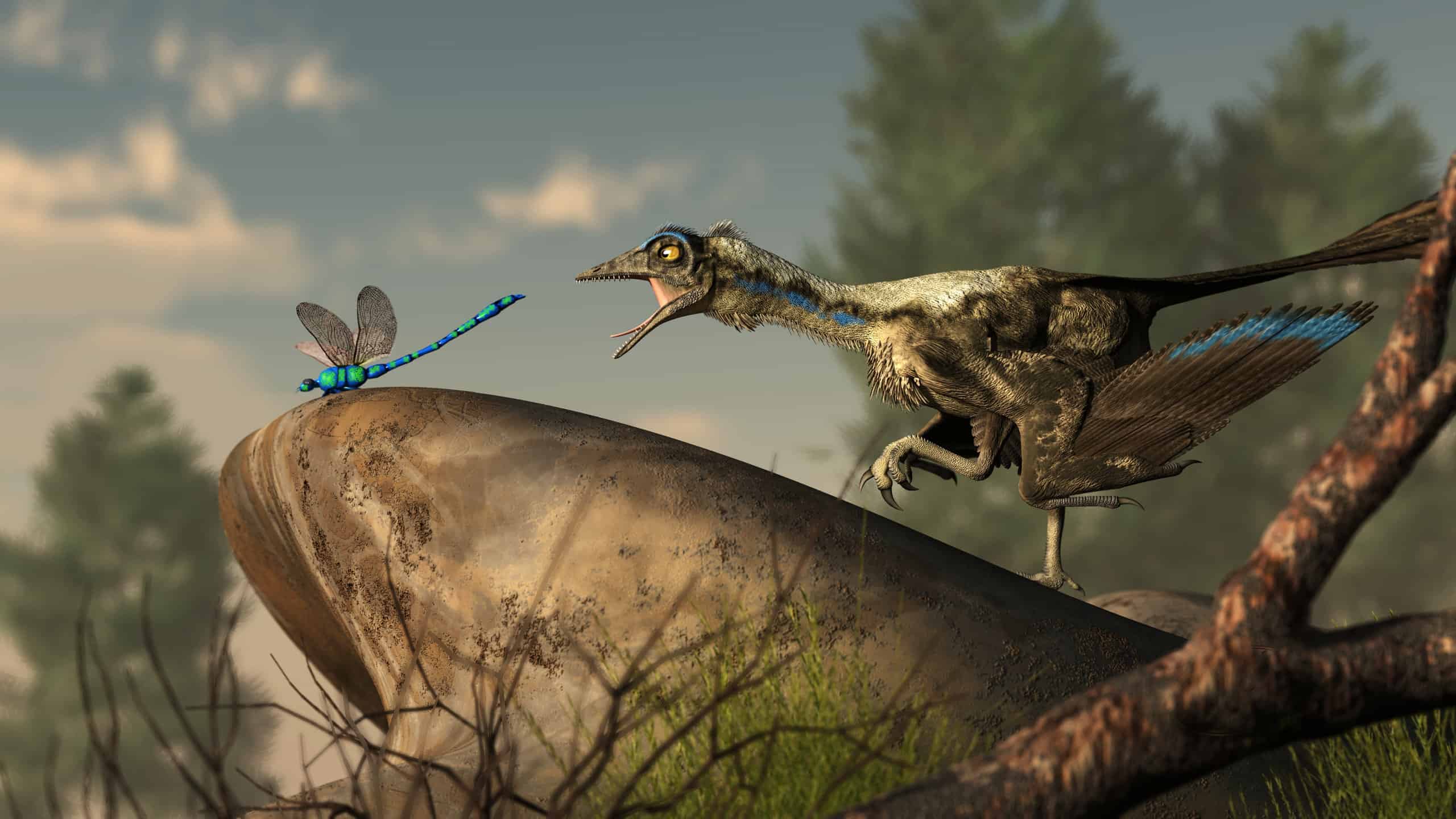 Archaeopteryx Picture