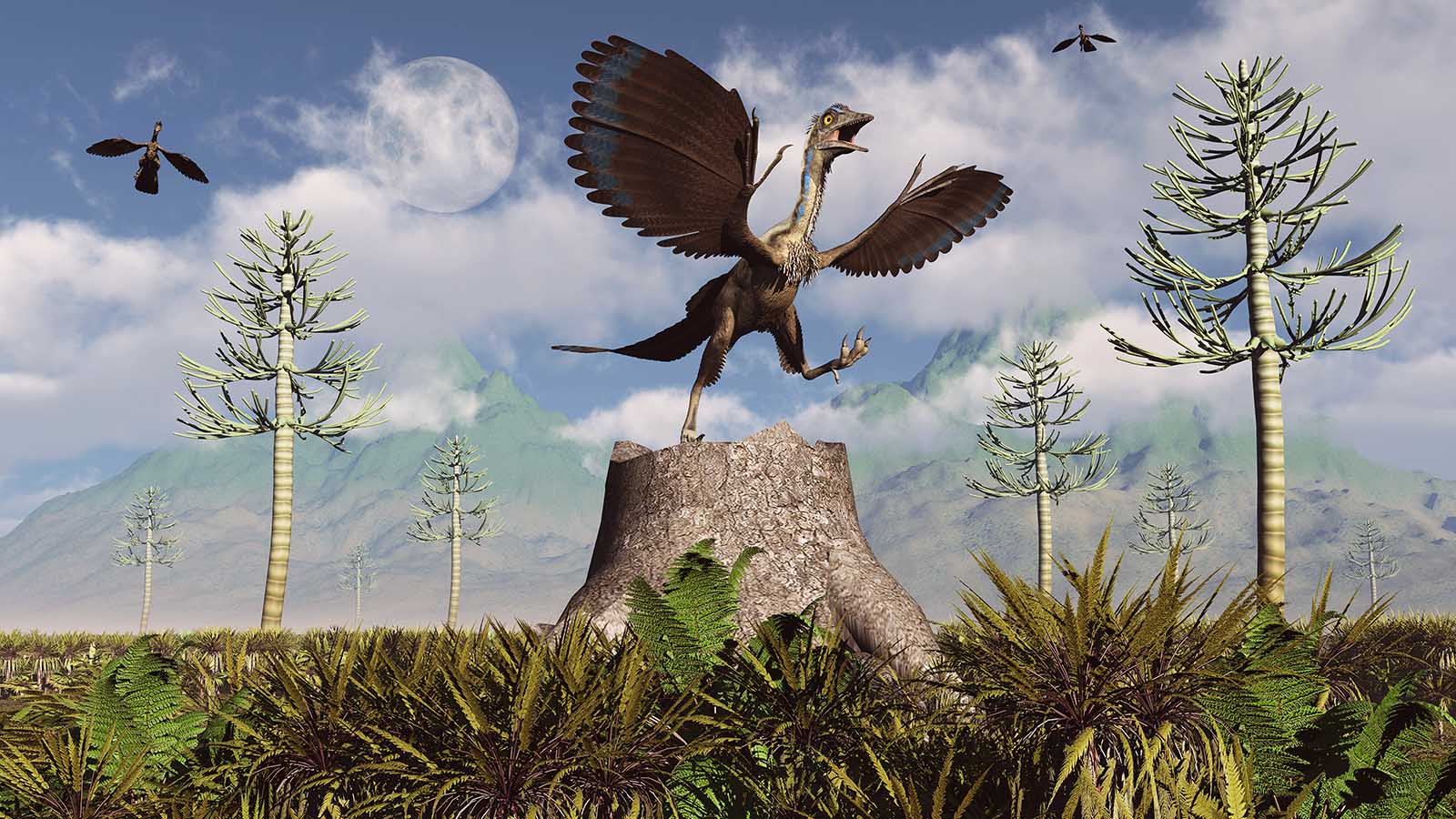 Meet Archaeopteryx, the Feathered Dino With Wings and Teeth