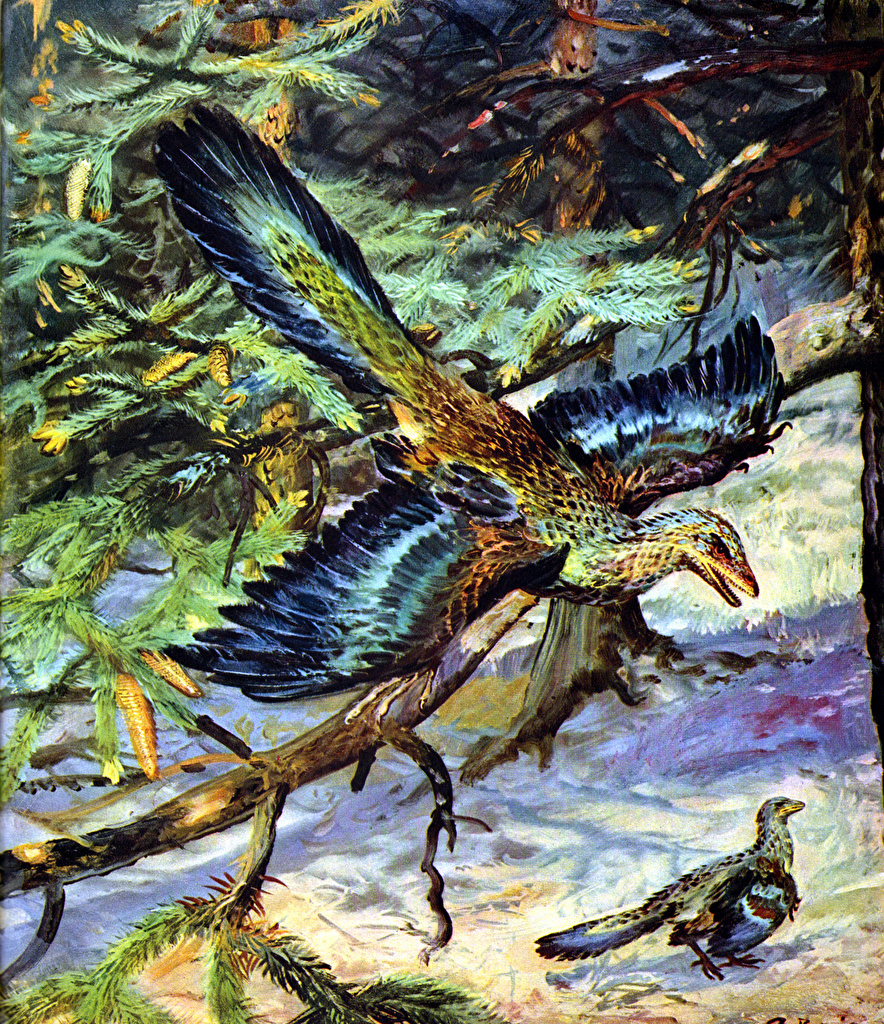 image Zdenek Burian Dinosaurs Archaeopteryx lithographica Branches