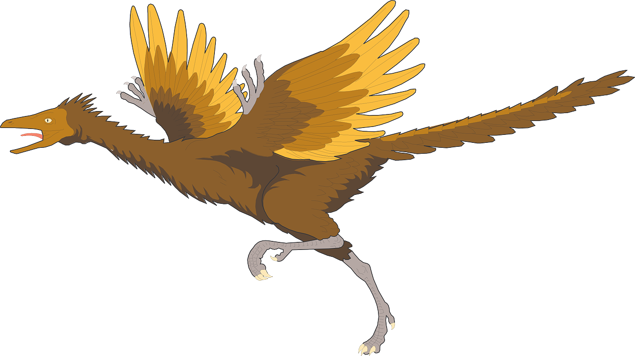Free Archaeopteryx & Bird Image
