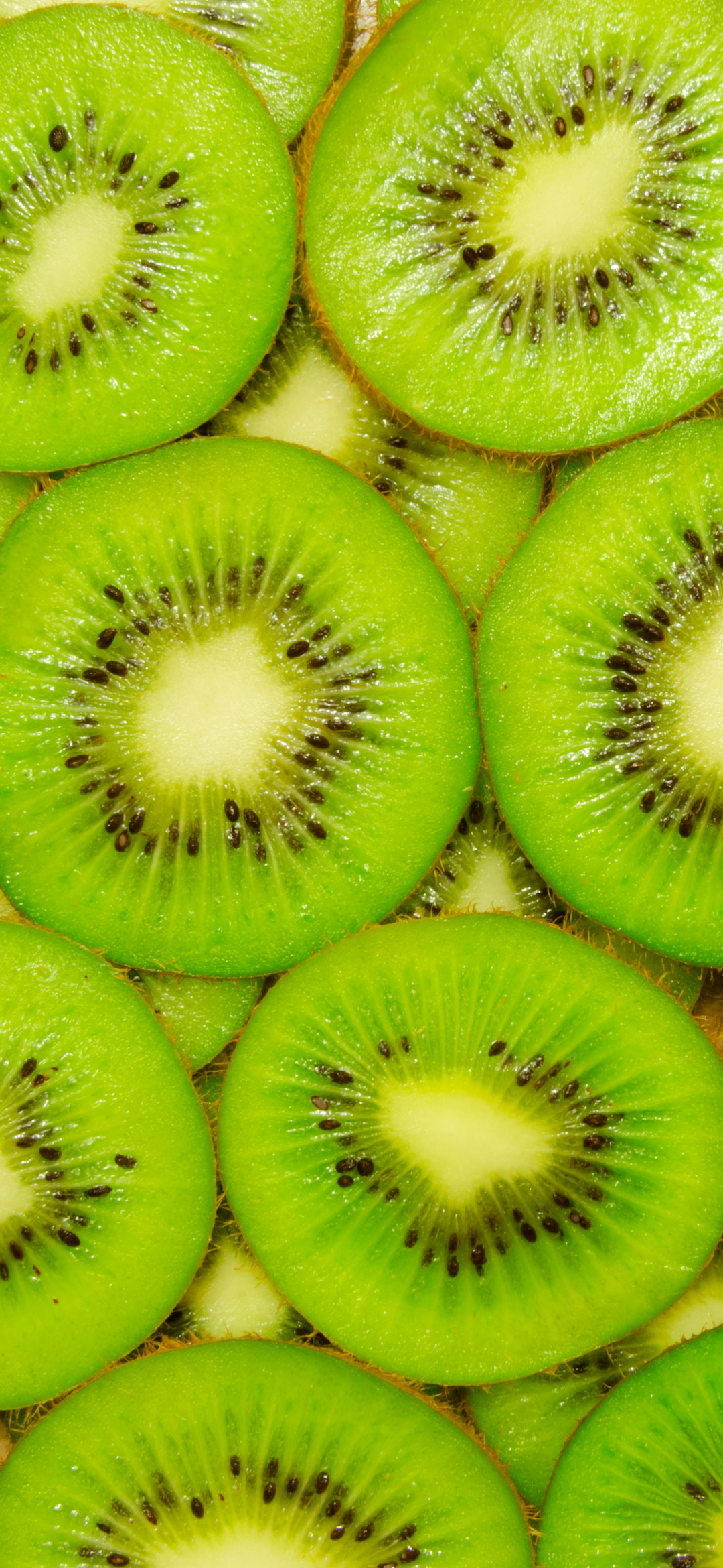 Kiwi Phone Wallpaper