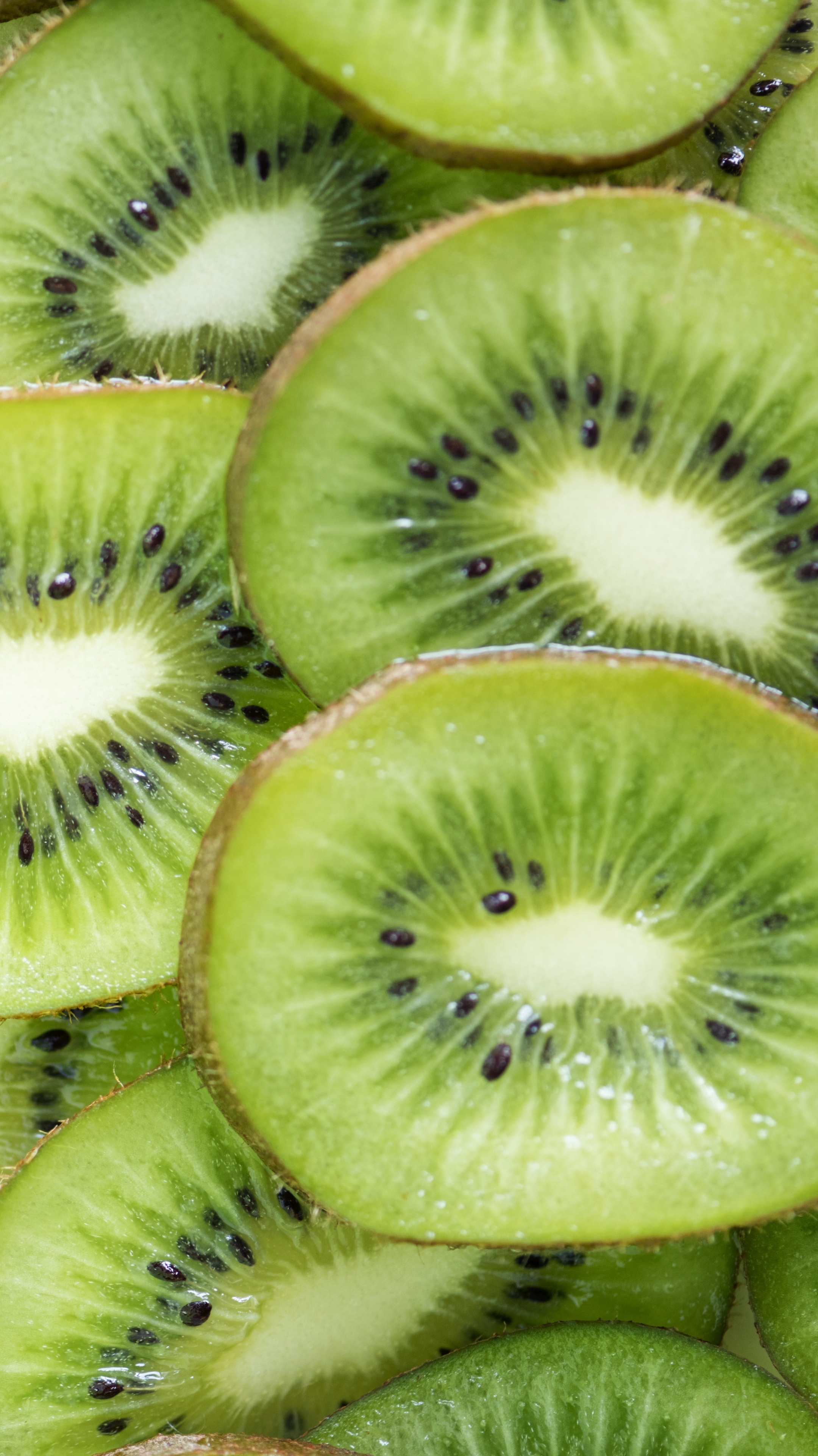 Kiwi Phone Wallpaper