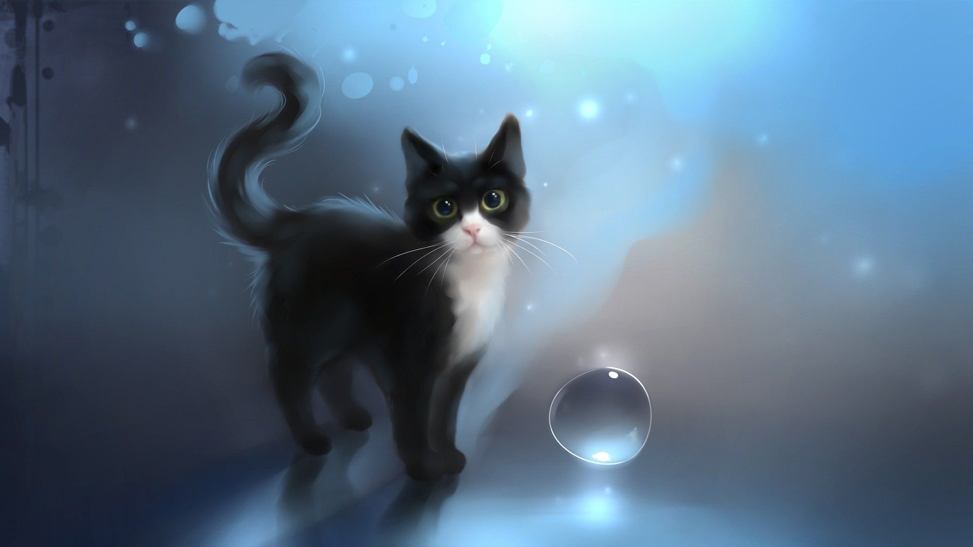 Cat Anime Computer Wallpaper