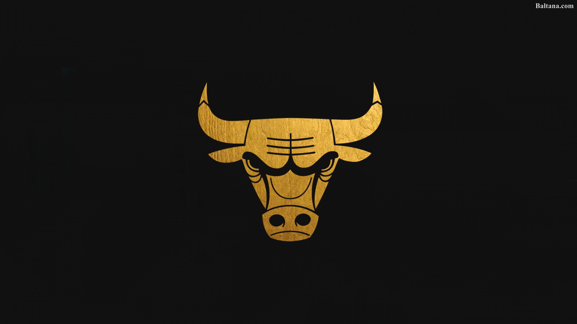 Chicago Bull Wallpaper