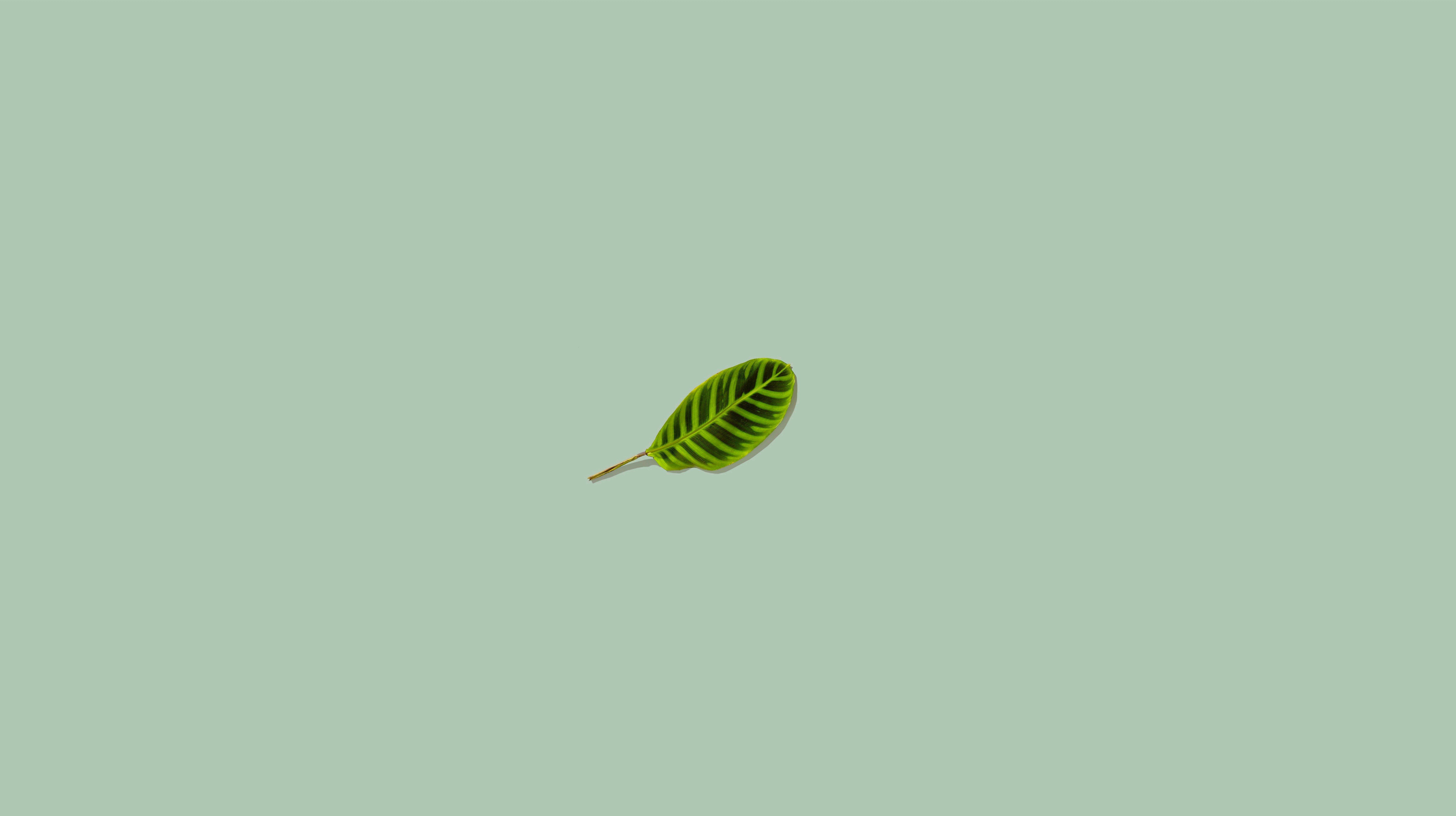 4k Green Minimalist Wallpapers - Wallpaper Cave