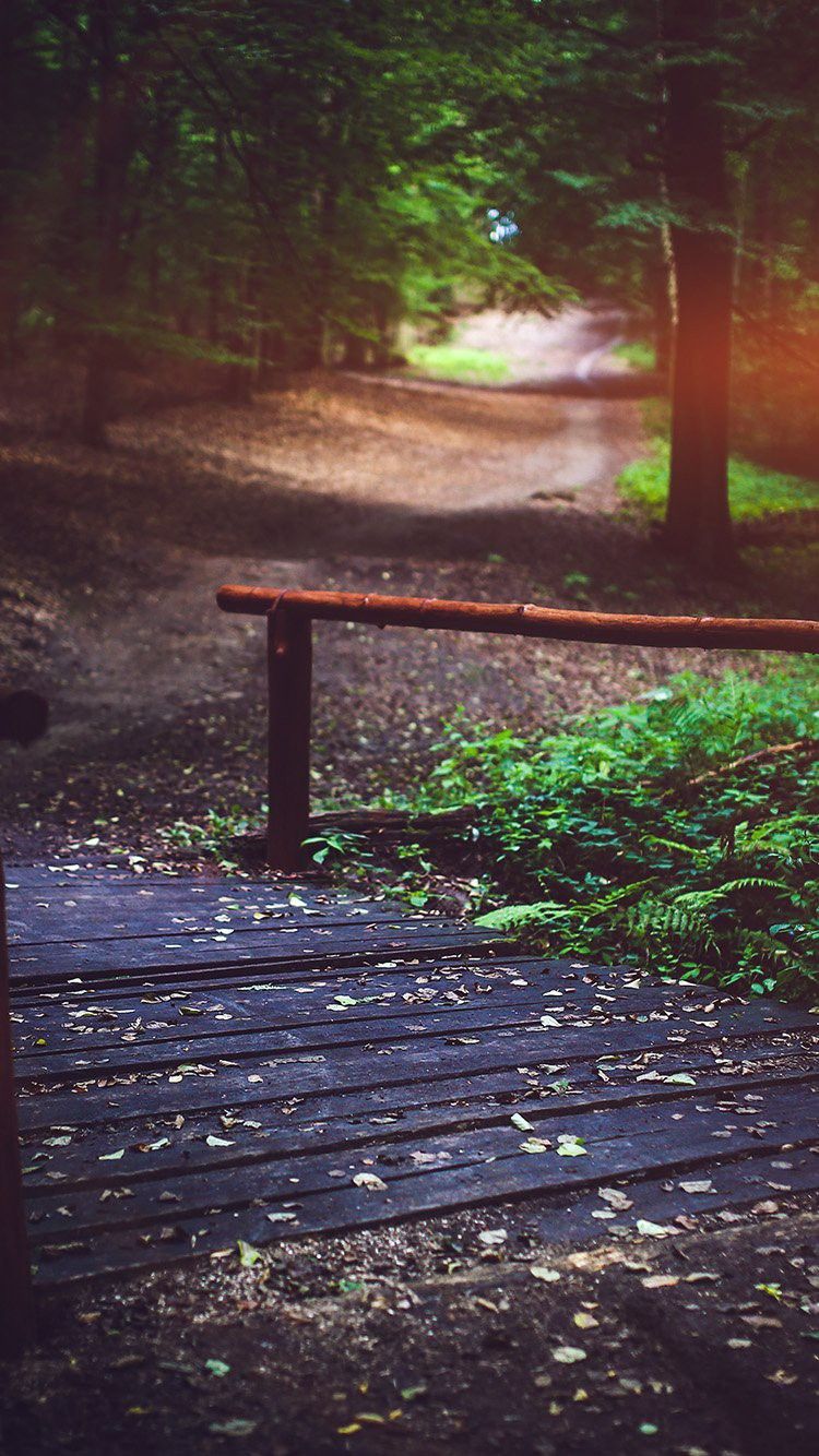 Nature. Beautiful nature wallpaper, Nature wallpaper, HD nature wallpaper