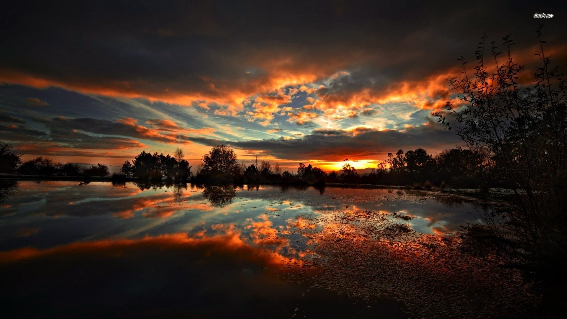 Summer Night Wallpaper