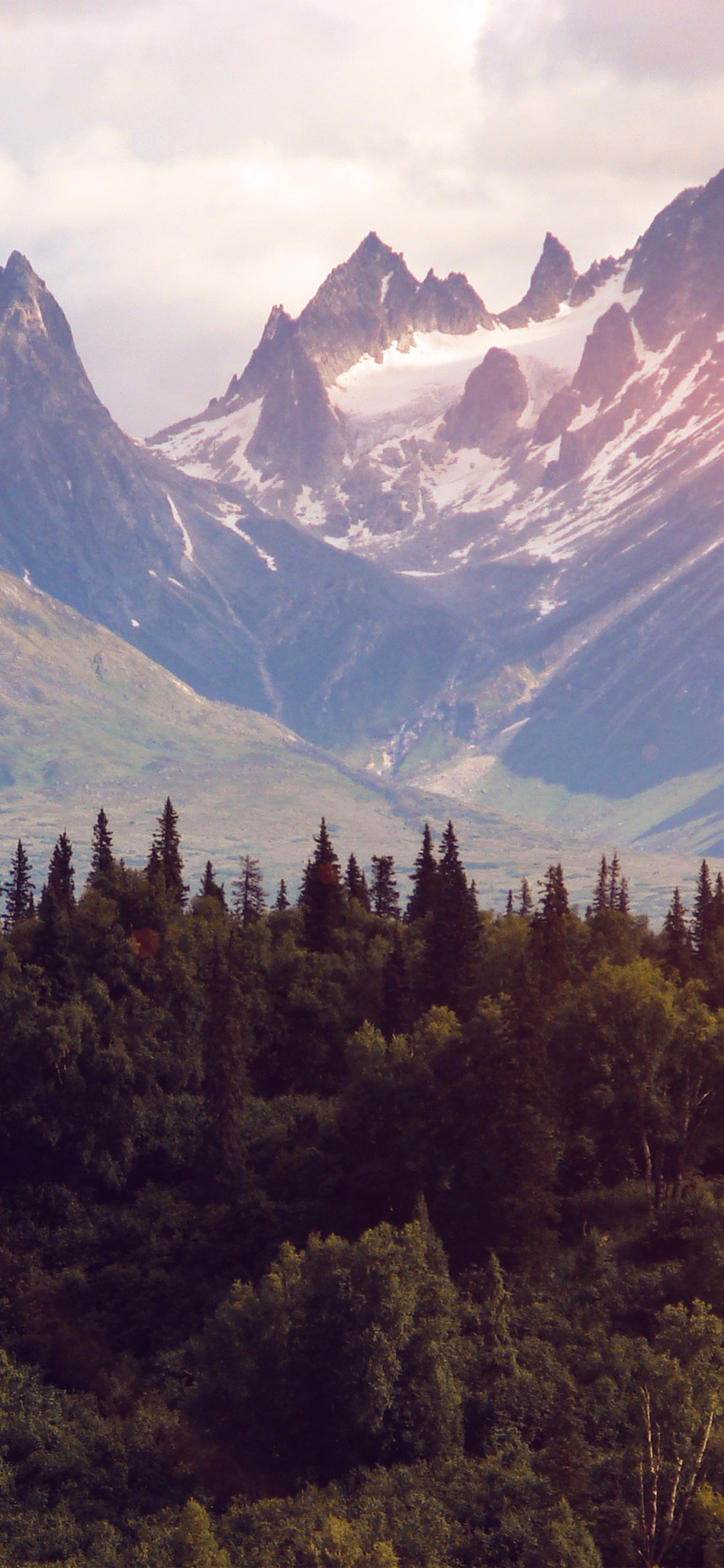 iPhone X wallpaper. mountain nature woodd summer green flare