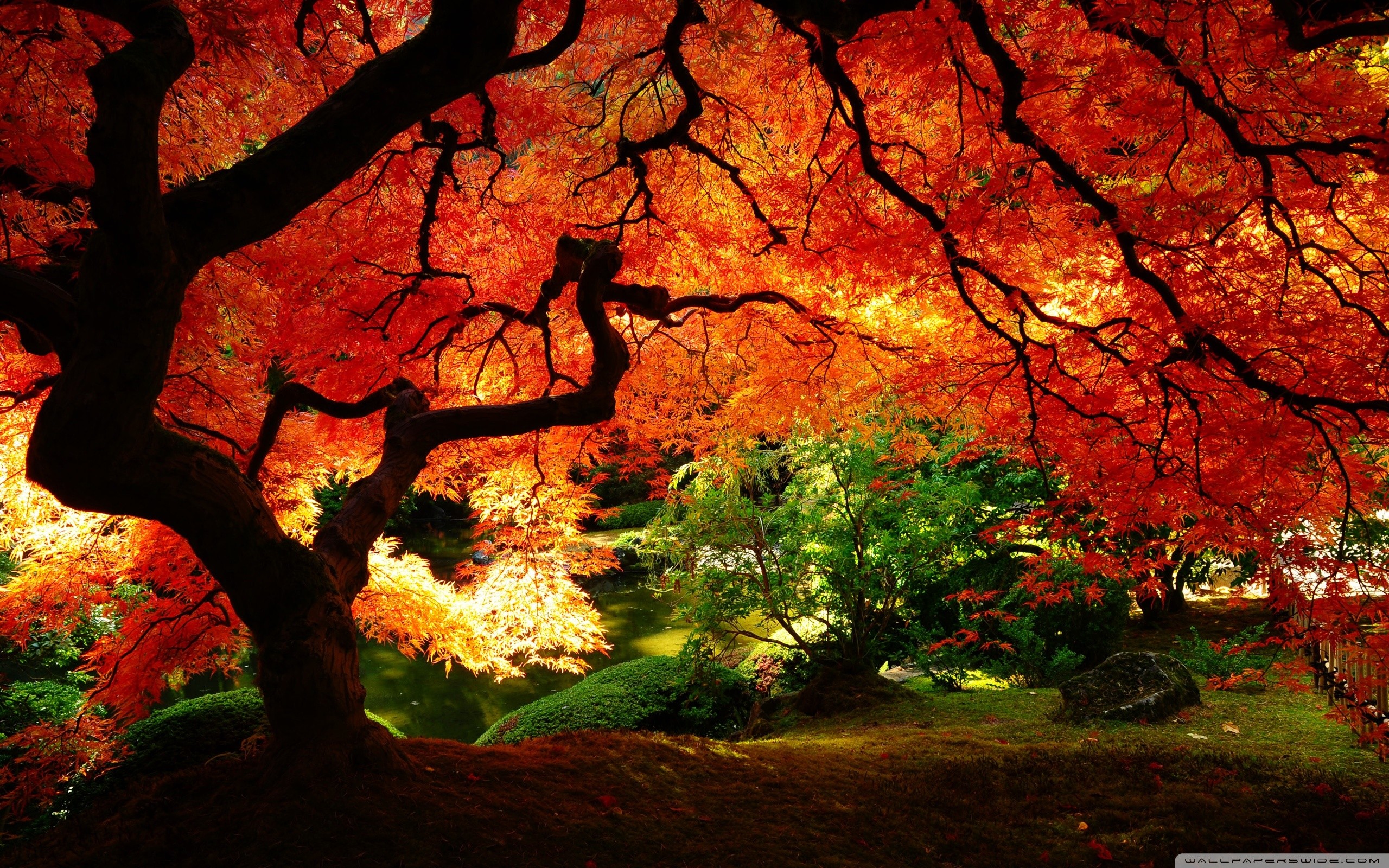 Beautiful Autumn Wallpaper