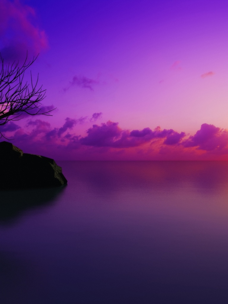 Sunset nature, purple iPad wallpaper