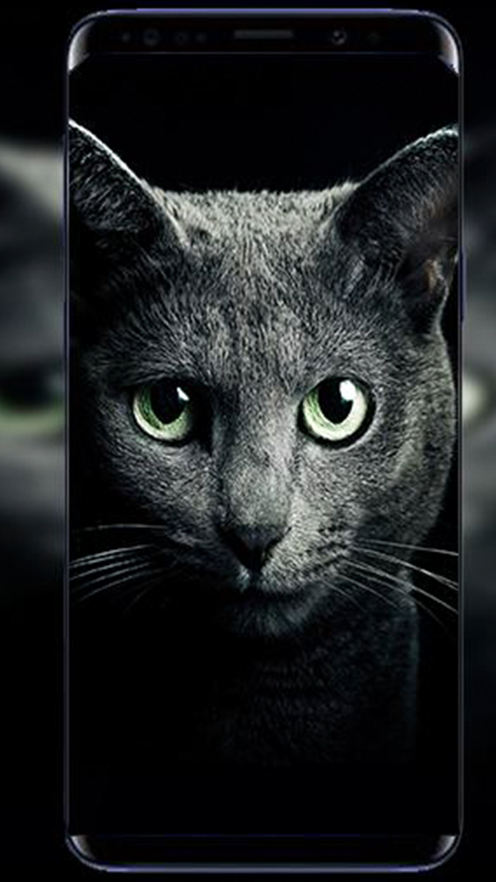 HD Black Wallpaper & Amoled Background 2020:Amazon.com:Appstore for Android