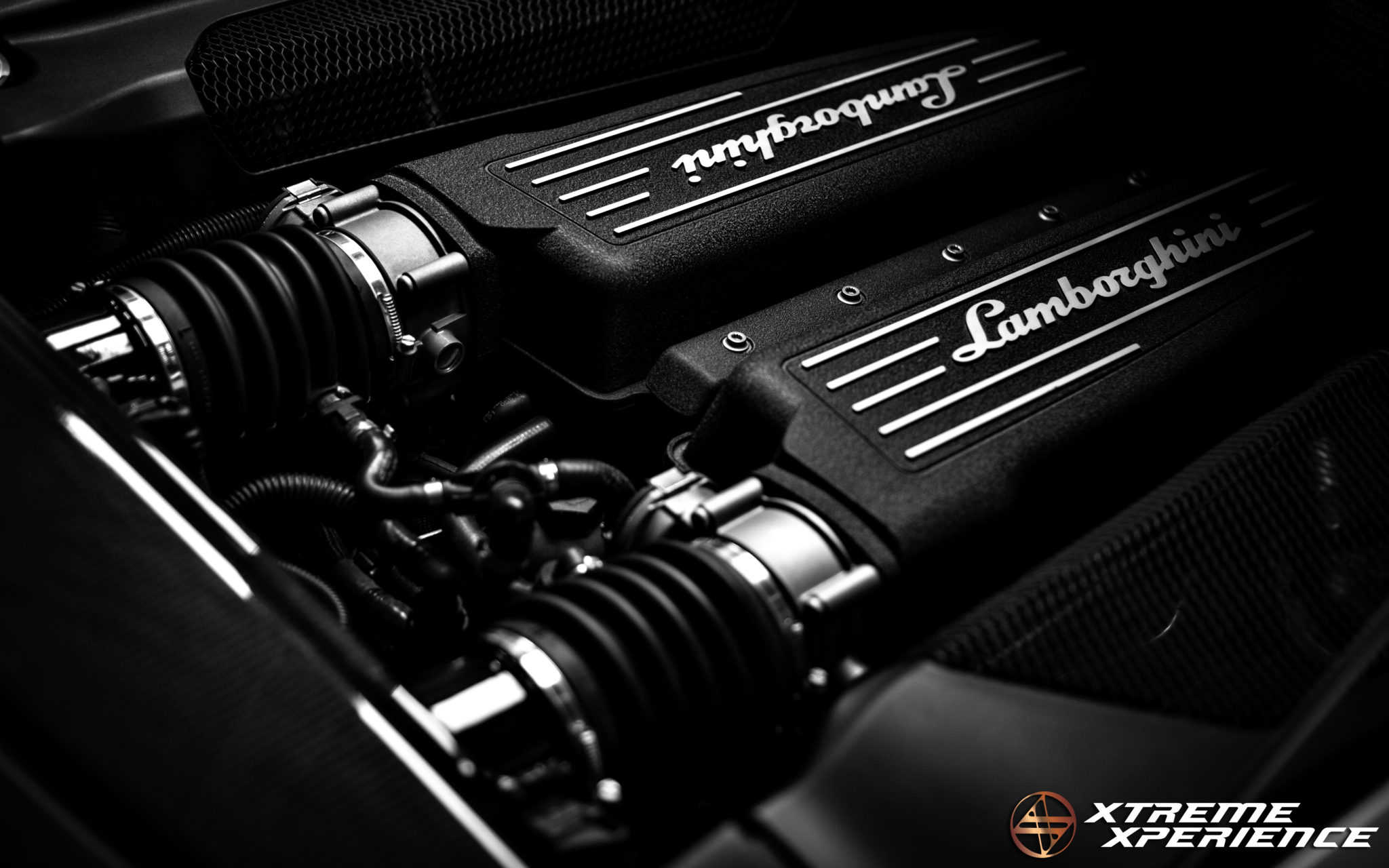 Lamborghini LP560 4 Wallpaper
