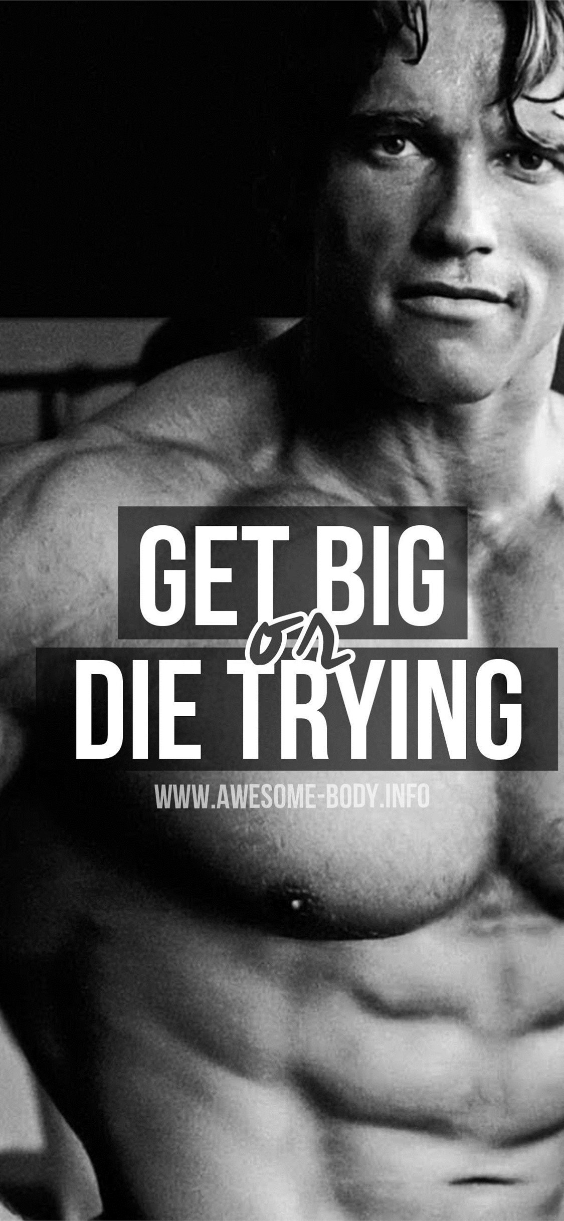 Best Arnold schwarzenegger iPhone HD