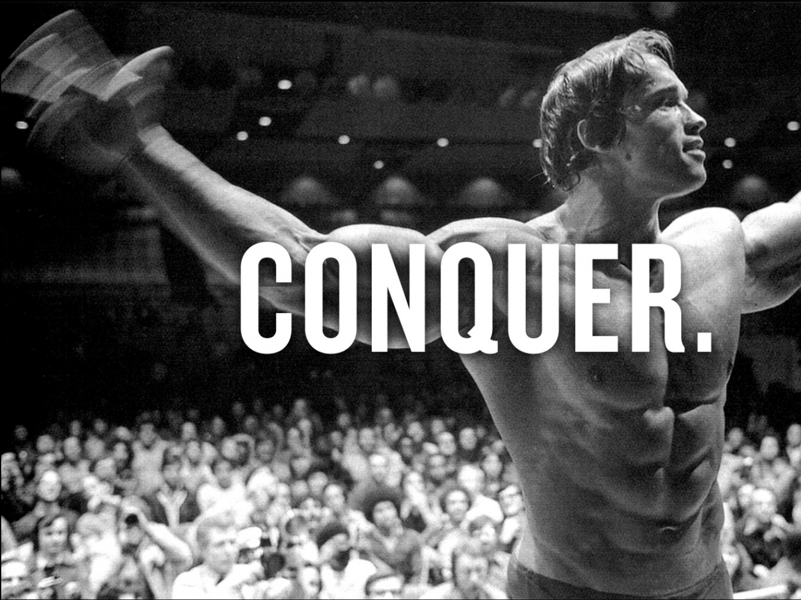 Arnold Schwarzenegger Conquer Wallpaper