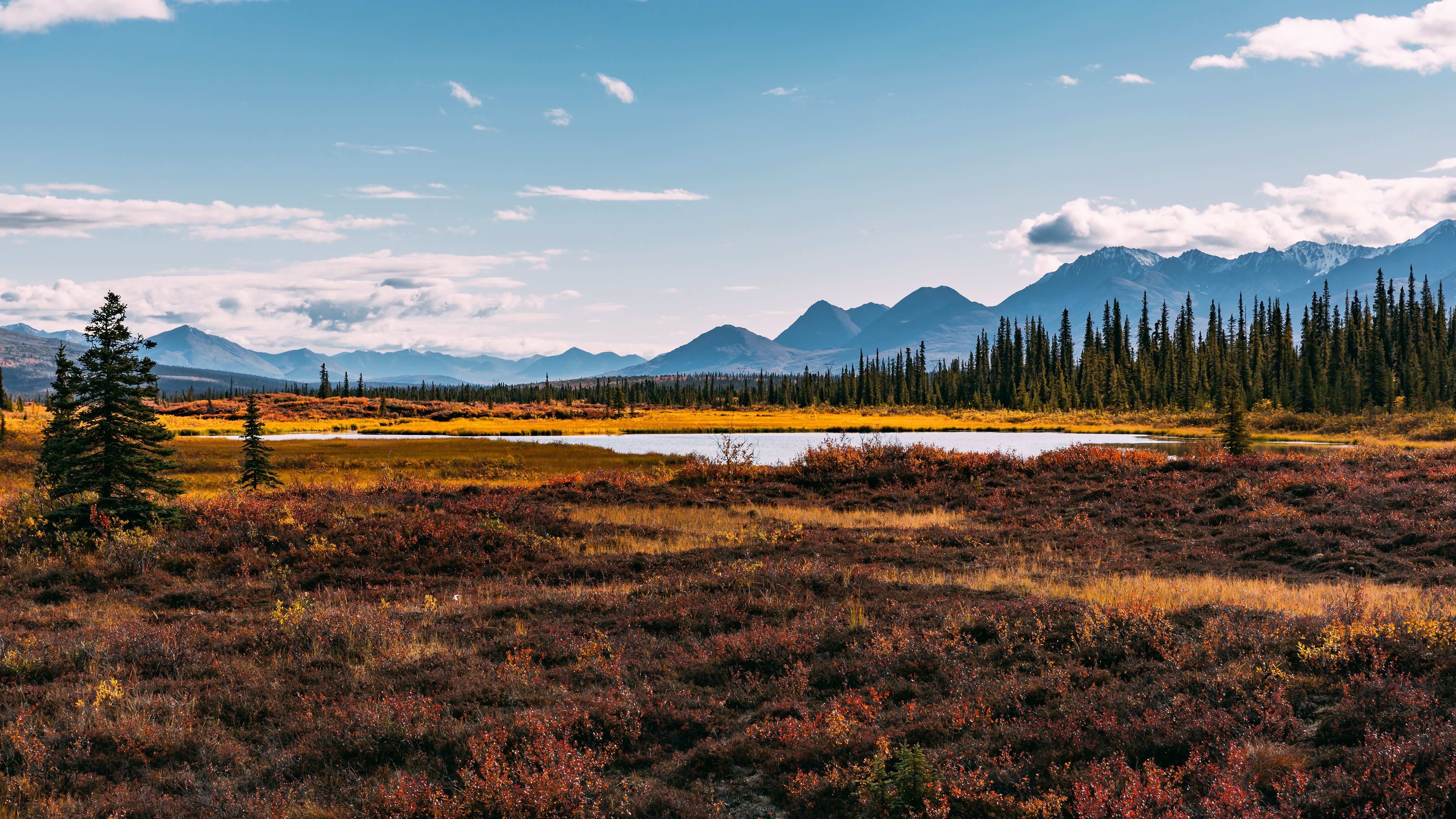 4K, 5K, Scenery, Mountains, USA, Alaska, Rivers, Grass Gallery HD Wallpaper