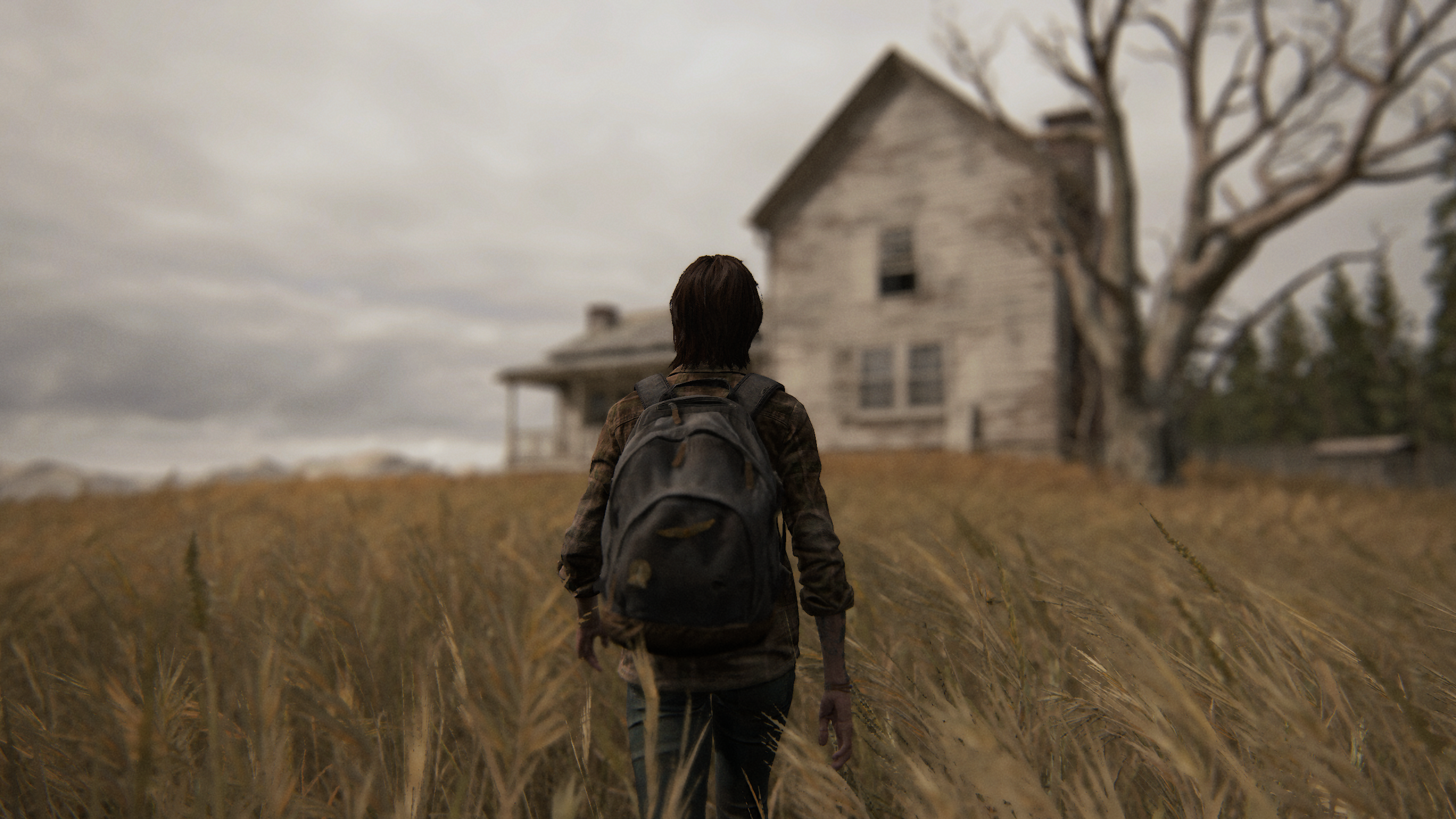 2048x2048 Resolution Ellie The Last Of Us Part 2 Ipad Air Wallpaper -  Wallpapers Den