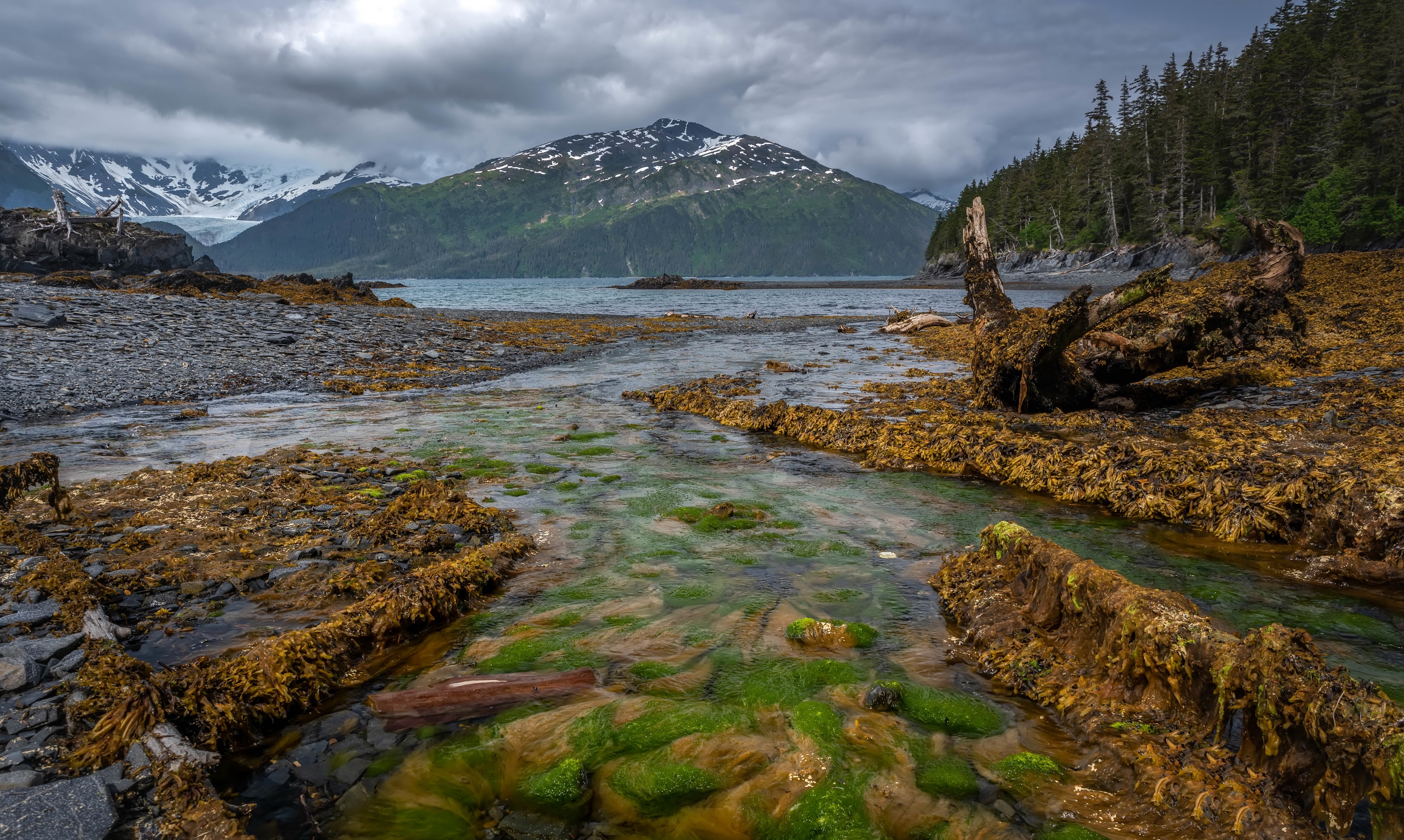 4K, 5K, Whittier, USA, Alaska, Mountains, Stones, Rivers, Forests Gallery HD Wallpaper