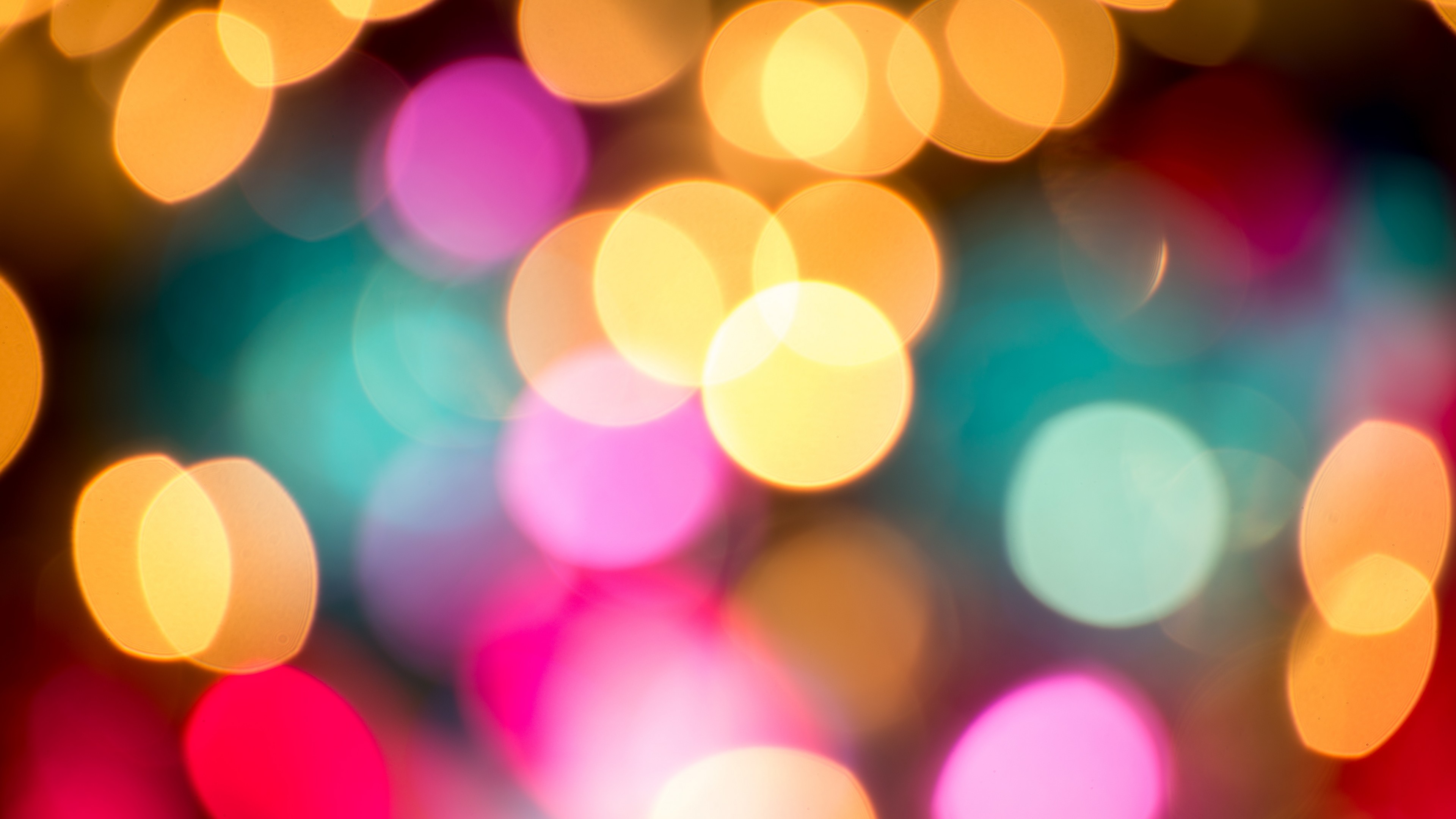 Festival colorful lights HD Wallpaper 4K Ultra HD