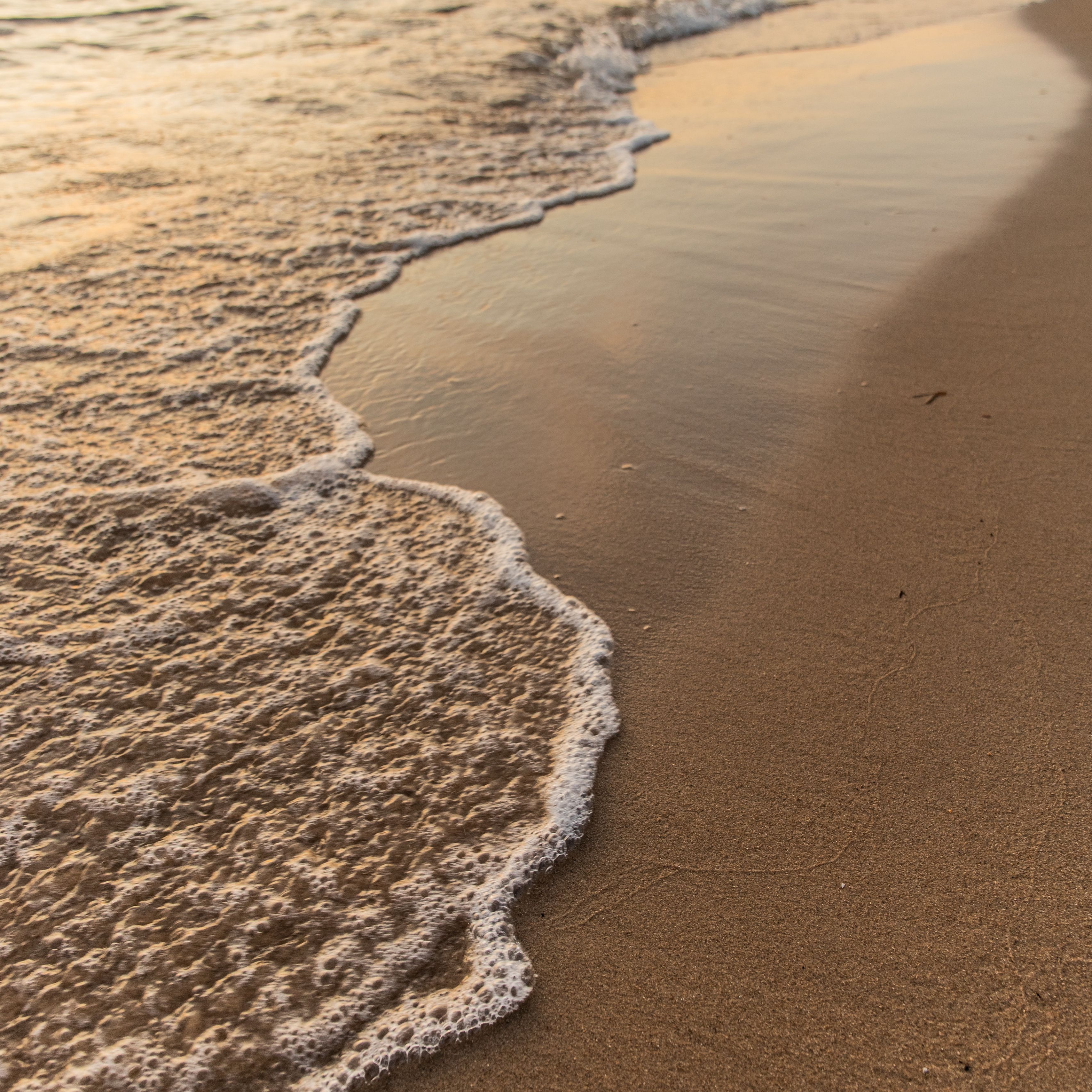 Beige Beach Wallpaper