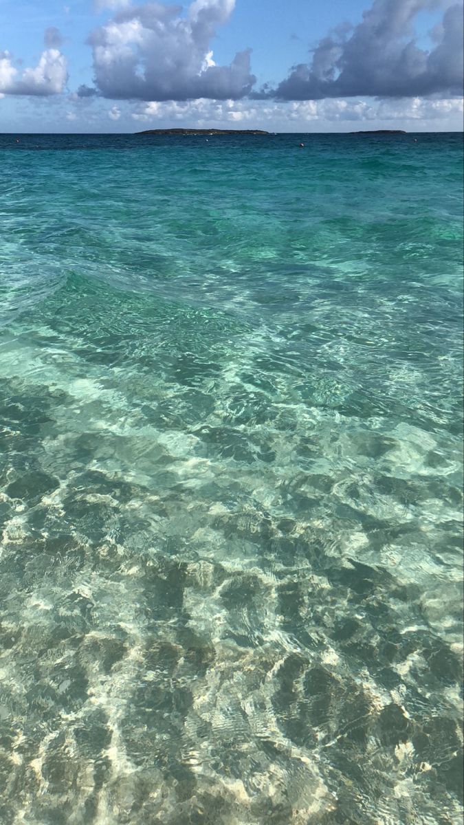clarity. Summer background, Beach picture, Clear ocean water