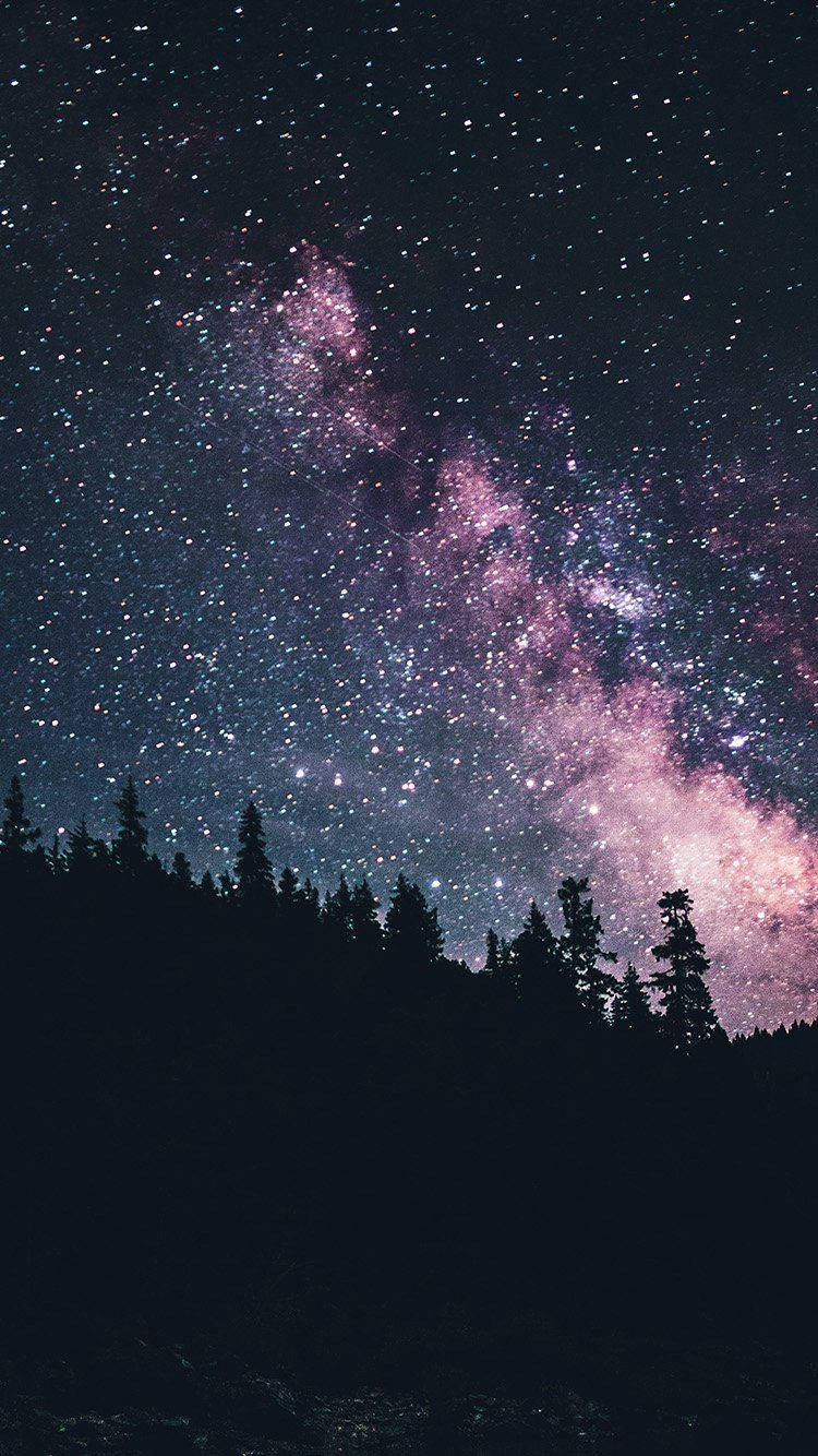 Download Embrace the vast beauty of the night sky Wallpaper