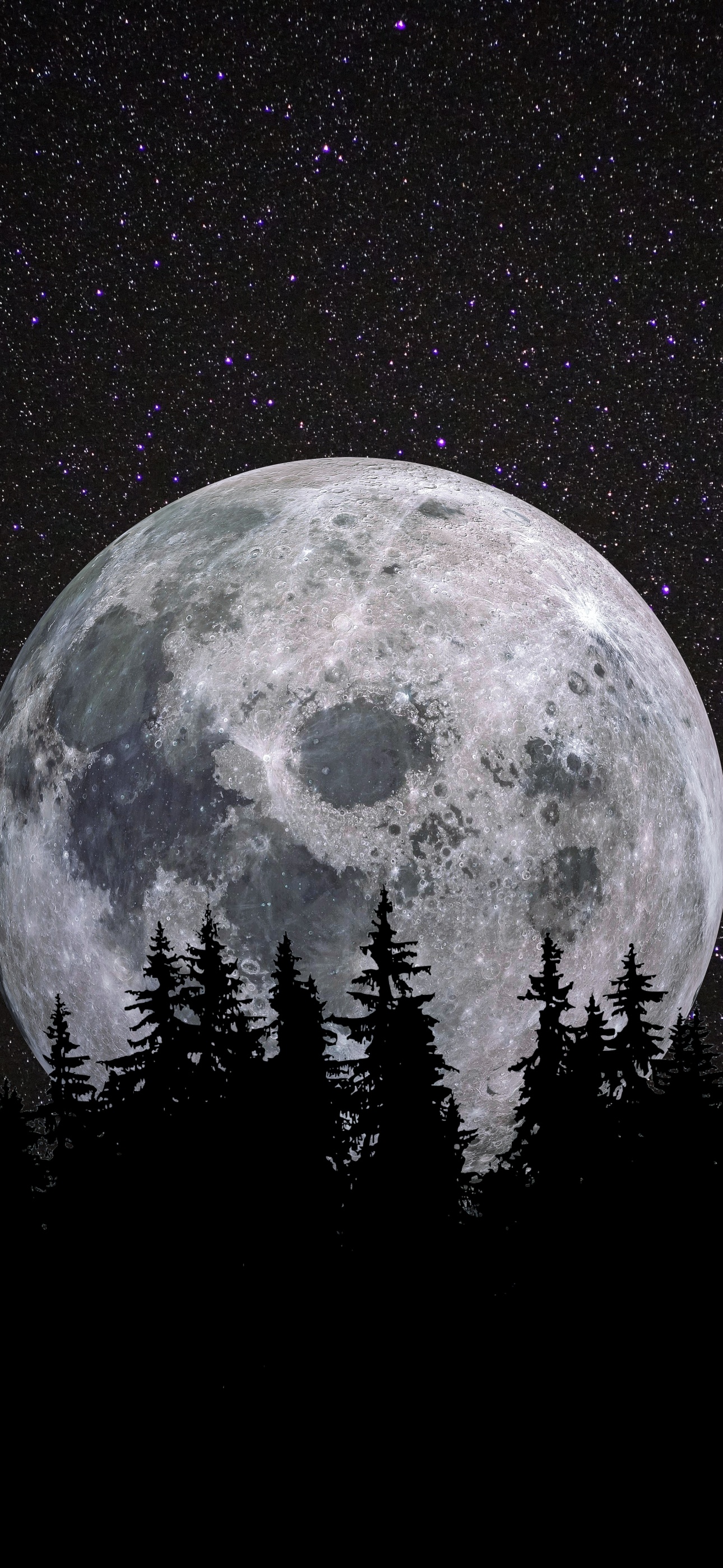 Full moon Wallpaper 4K, Forest, Night, Dark, Starry sky