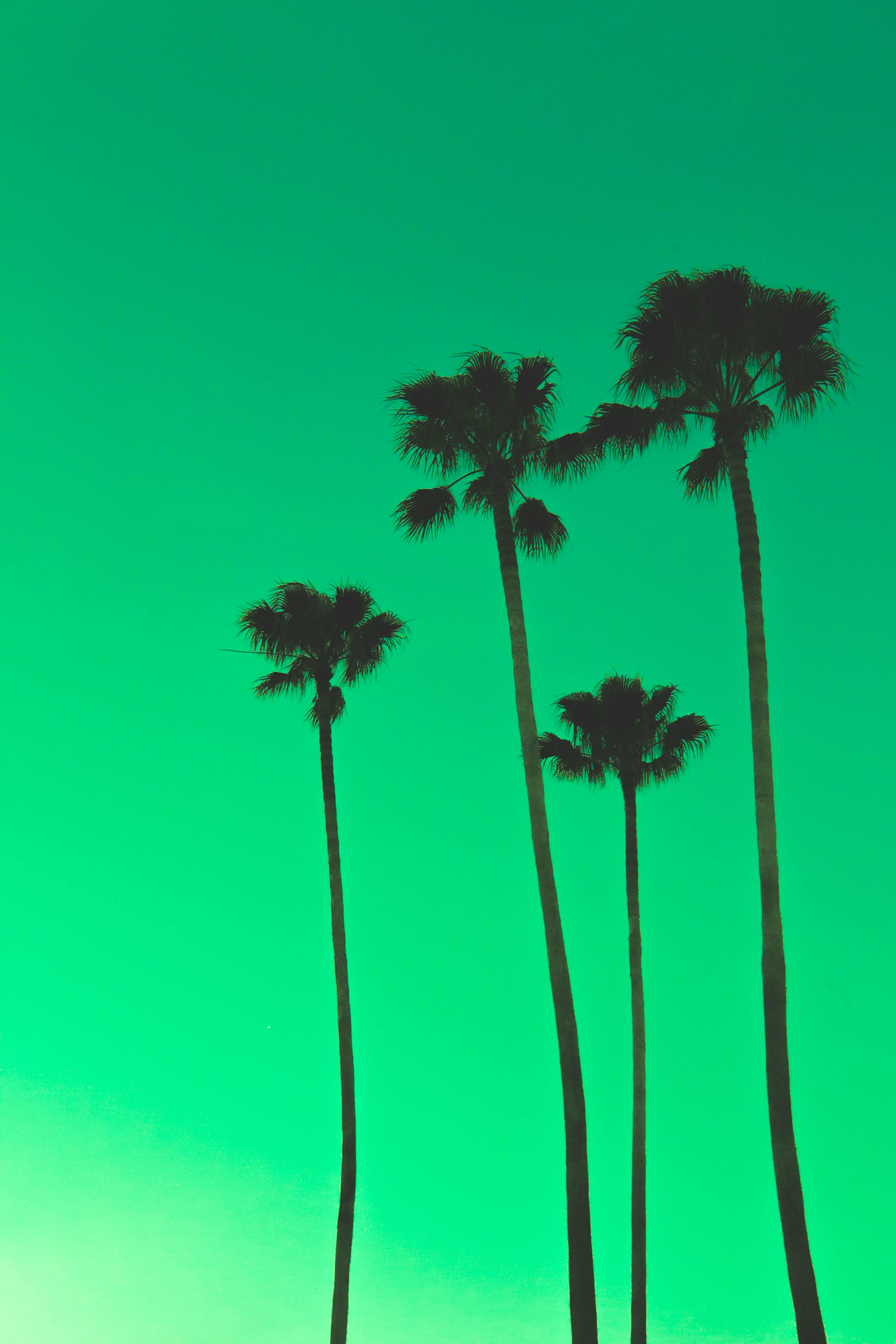 Green wallpaper for your phone, free