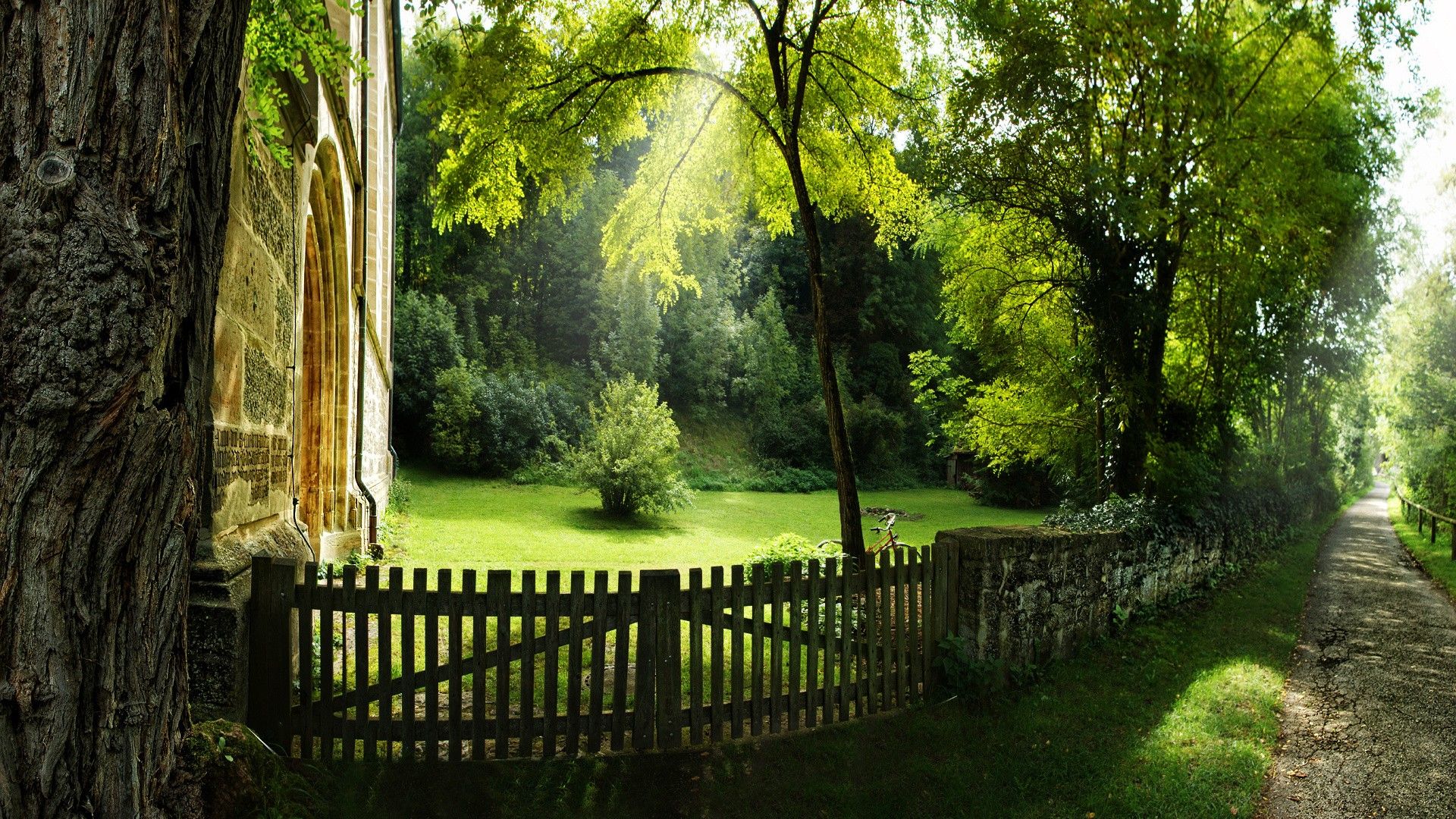 natural wallpaper. Green nature wallpaper, Backyard fences, Landscape wallpaper