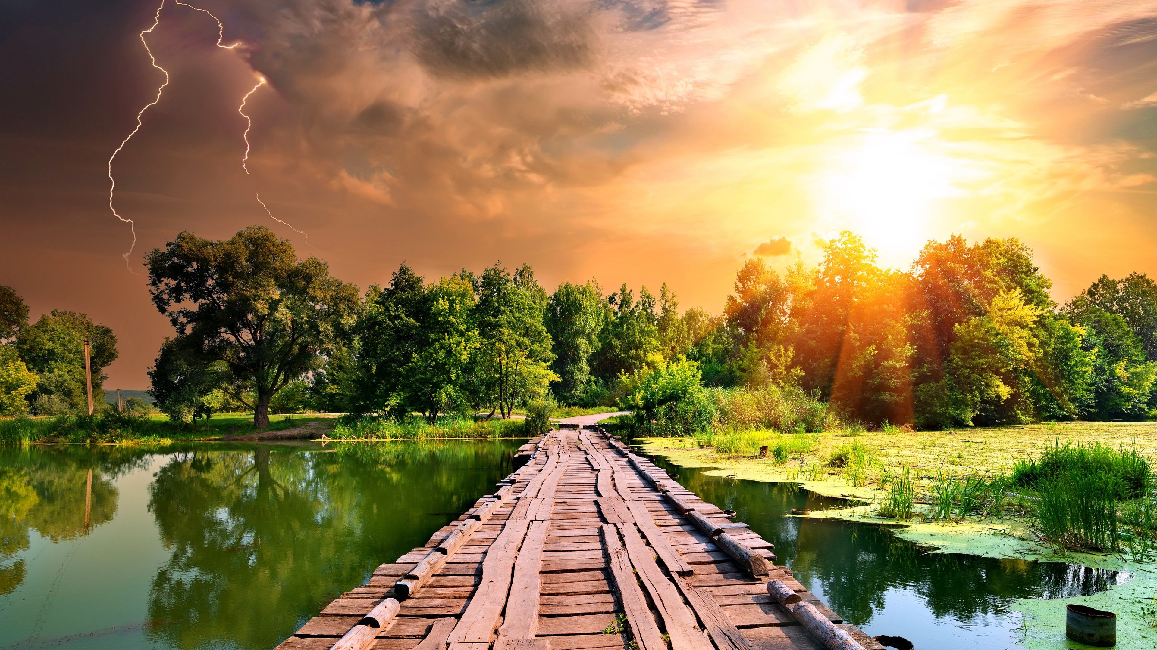 Summer Nature Wallpaper