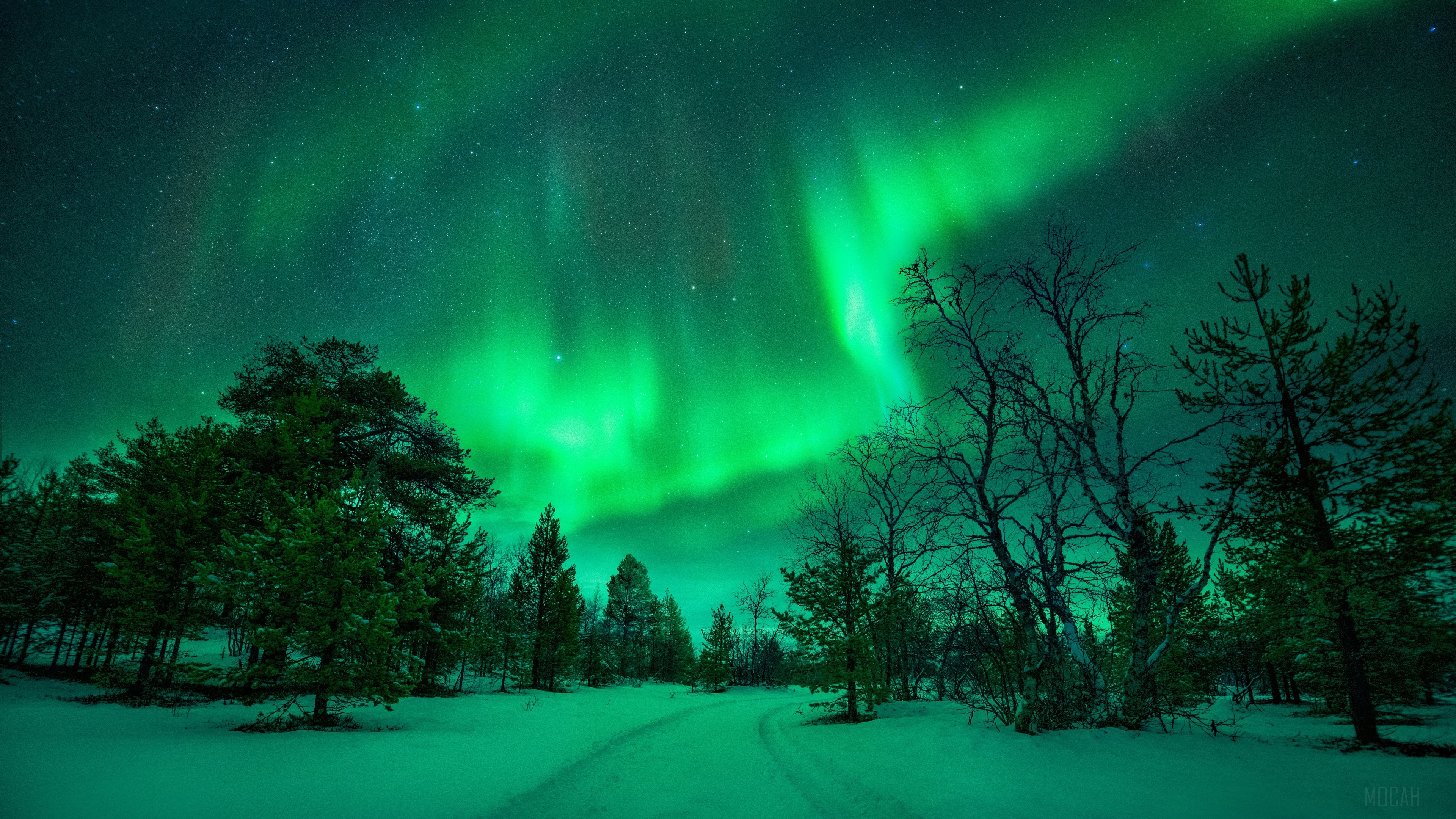 Aurora Borealis, Nature, Night, Sky, Snow, Winter 4k Gallery HD Wallpaper