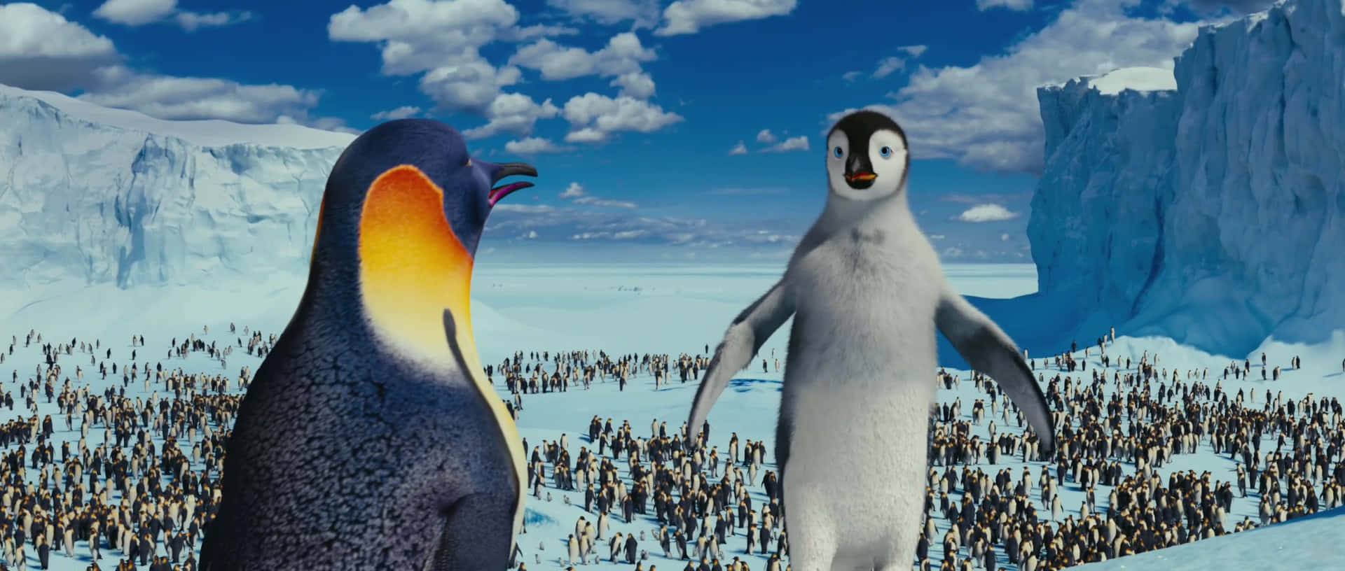 Gloria Of Happy Feet Two Wallpaper