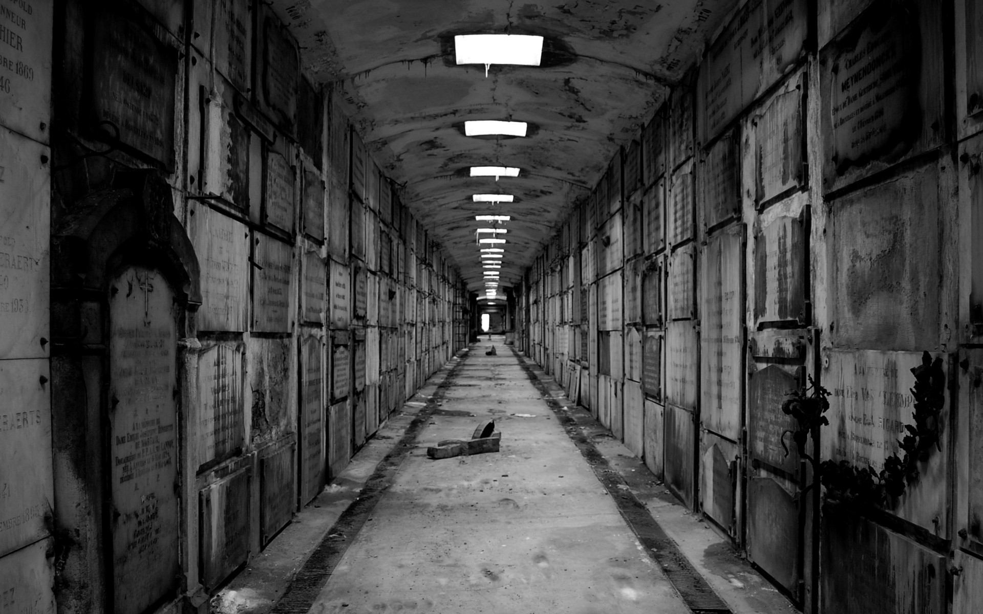 Download Cemetery wallpaper for mobile phone, free Cemetery HD picture