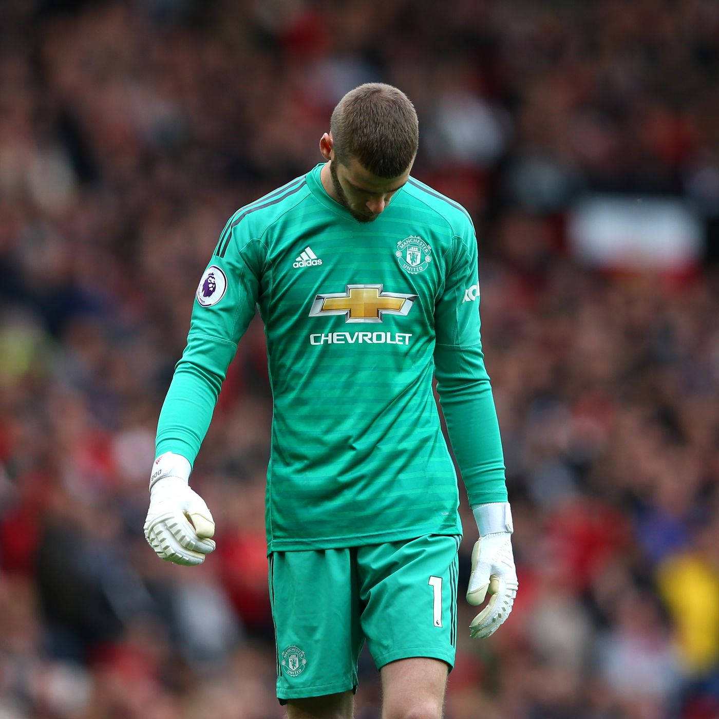 Download David De Gea Head Down Wallpaper