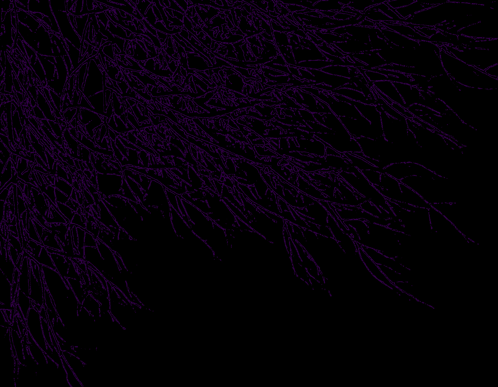 Dark Purple and Black Wallpaper Free Dark Purple and Black Background