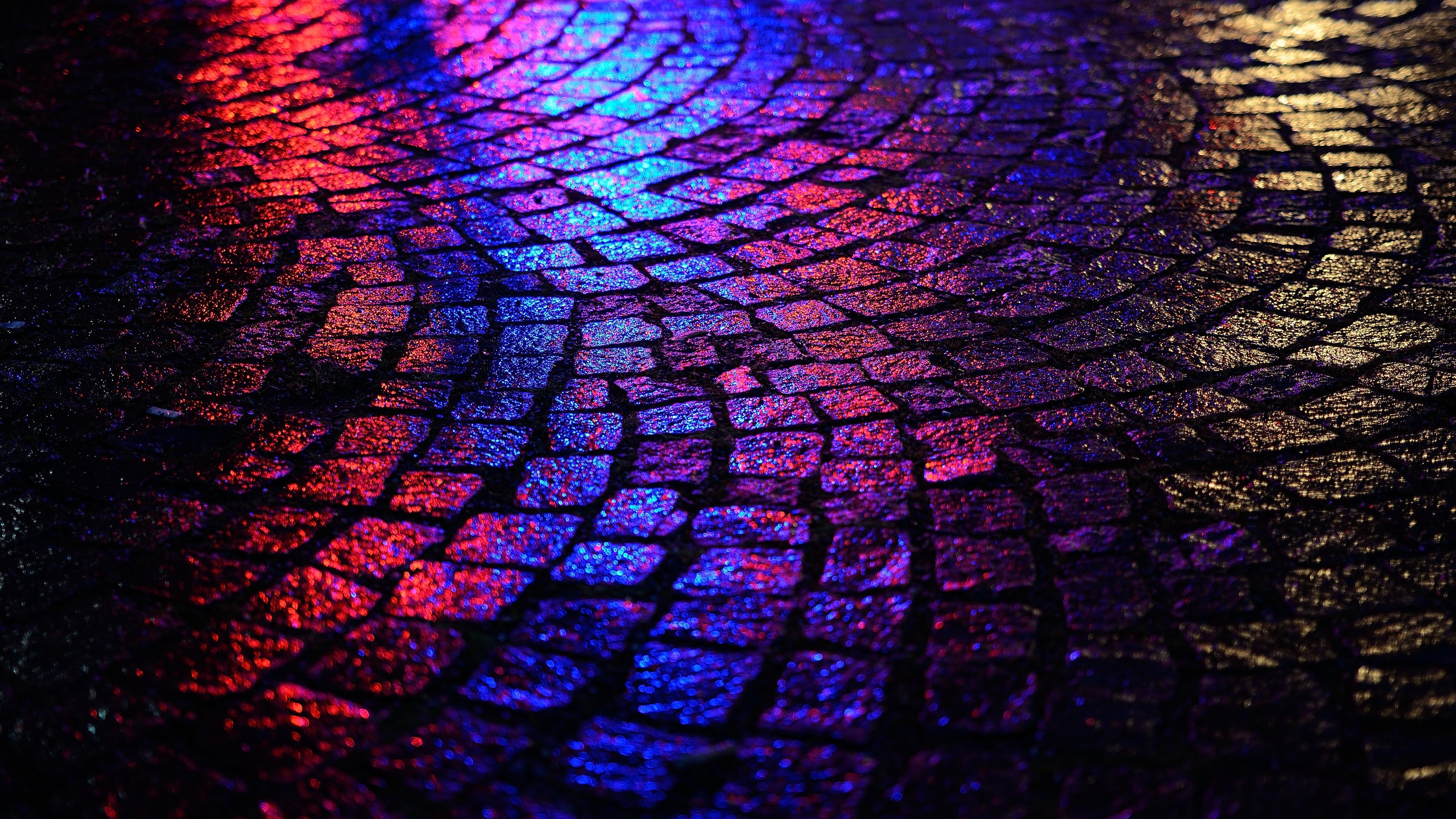Wallpaper, black, night, red, reflection, road, purple, symmetry, blue, texture, circle, color, leaf, line, darkness, computer wallpaper, fractal art, psychedelic art, 2845x1600 px 2845x1600