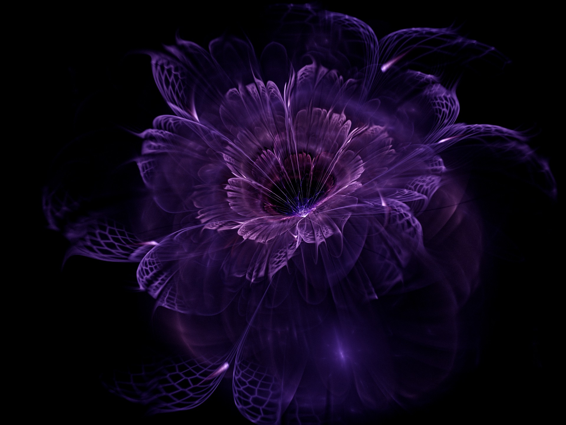 Wallpaper, black background, abstract, purple, violet, symmetry, Anemone, fractal flowers, flower, darkness, petal, graphics, 1920x1440 px, computer wallpaper, fractal art, special effects, macro photography, still life photography, organism 1920x1440