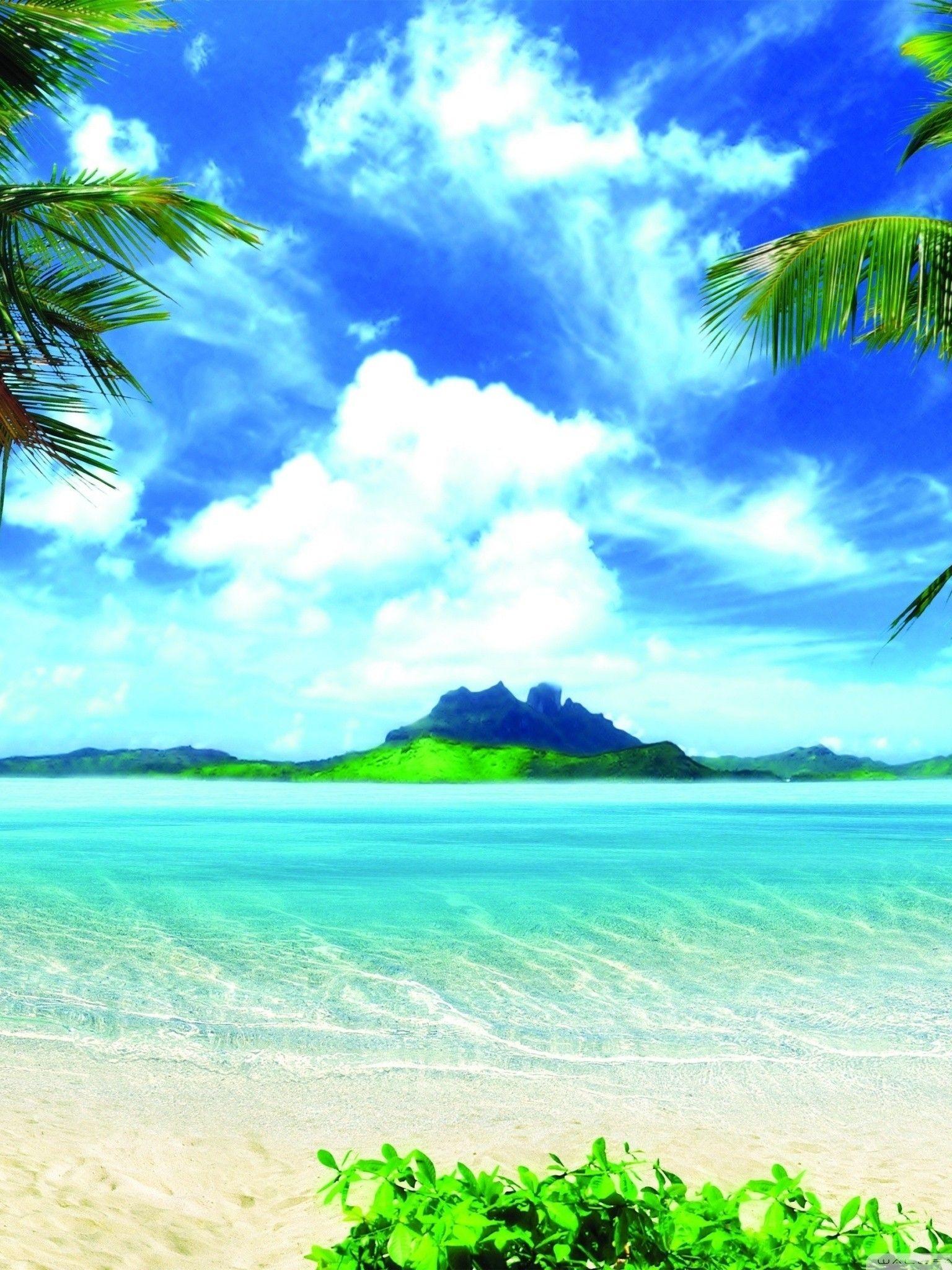 Summer iPad Wallpaper