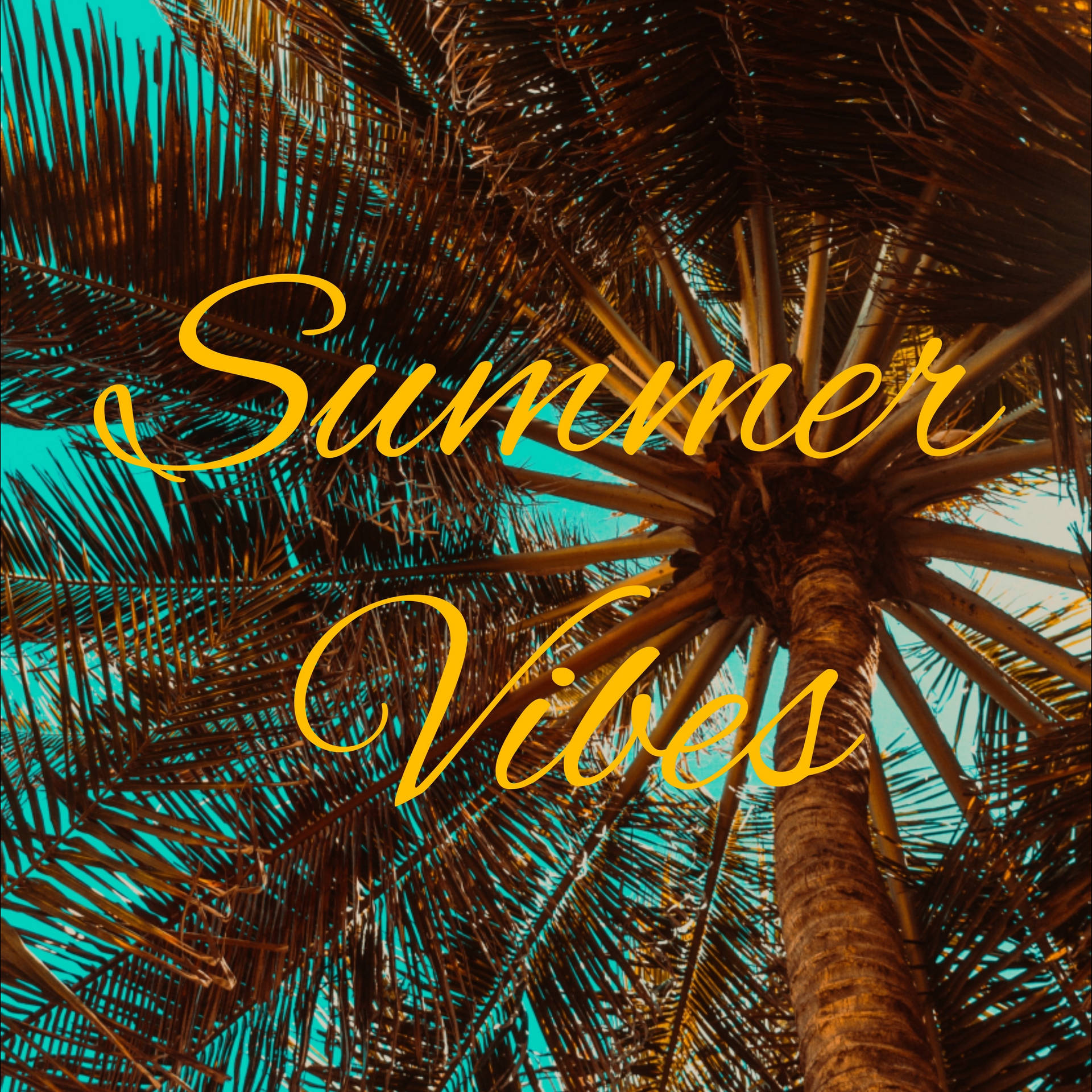 Download Image Surfing The News On A Summer Day Wallpaper