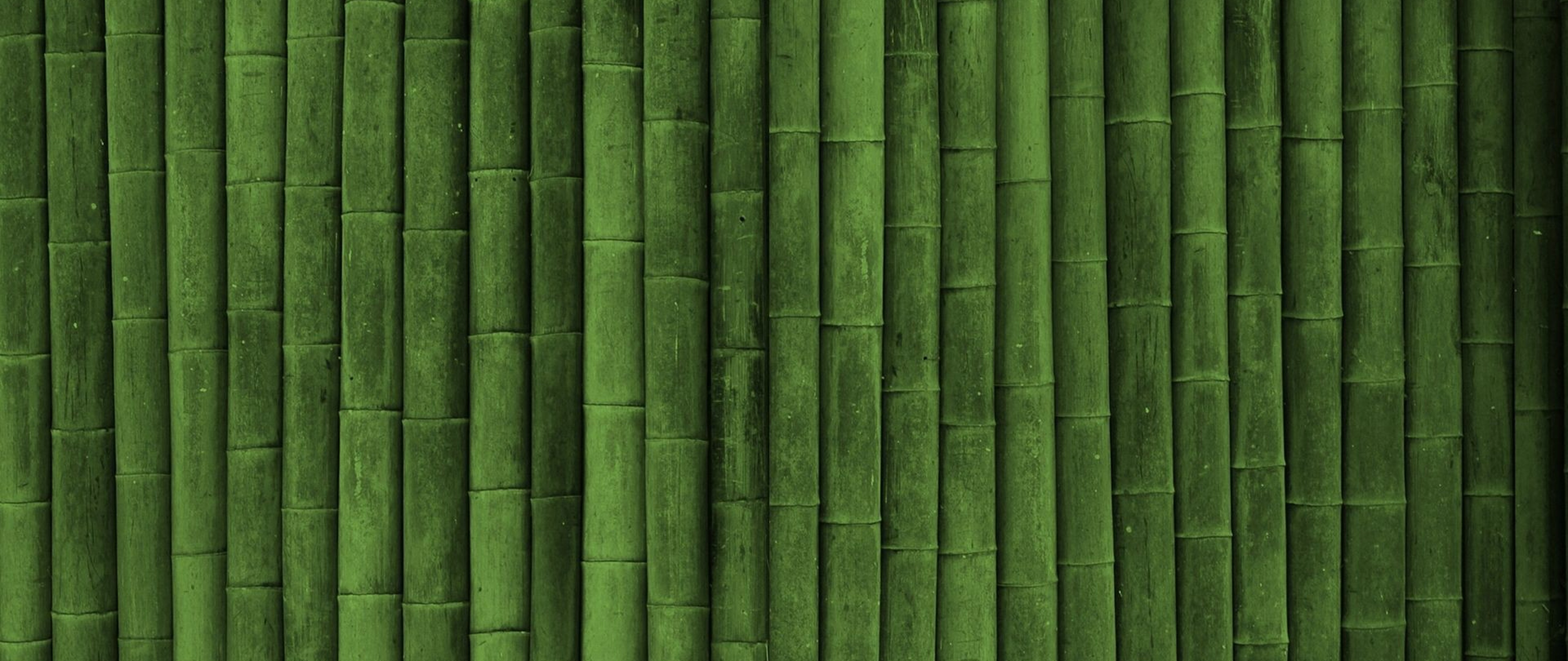 Bamboo 1080P, 2K, 4K, 5K HD wallpapers free download