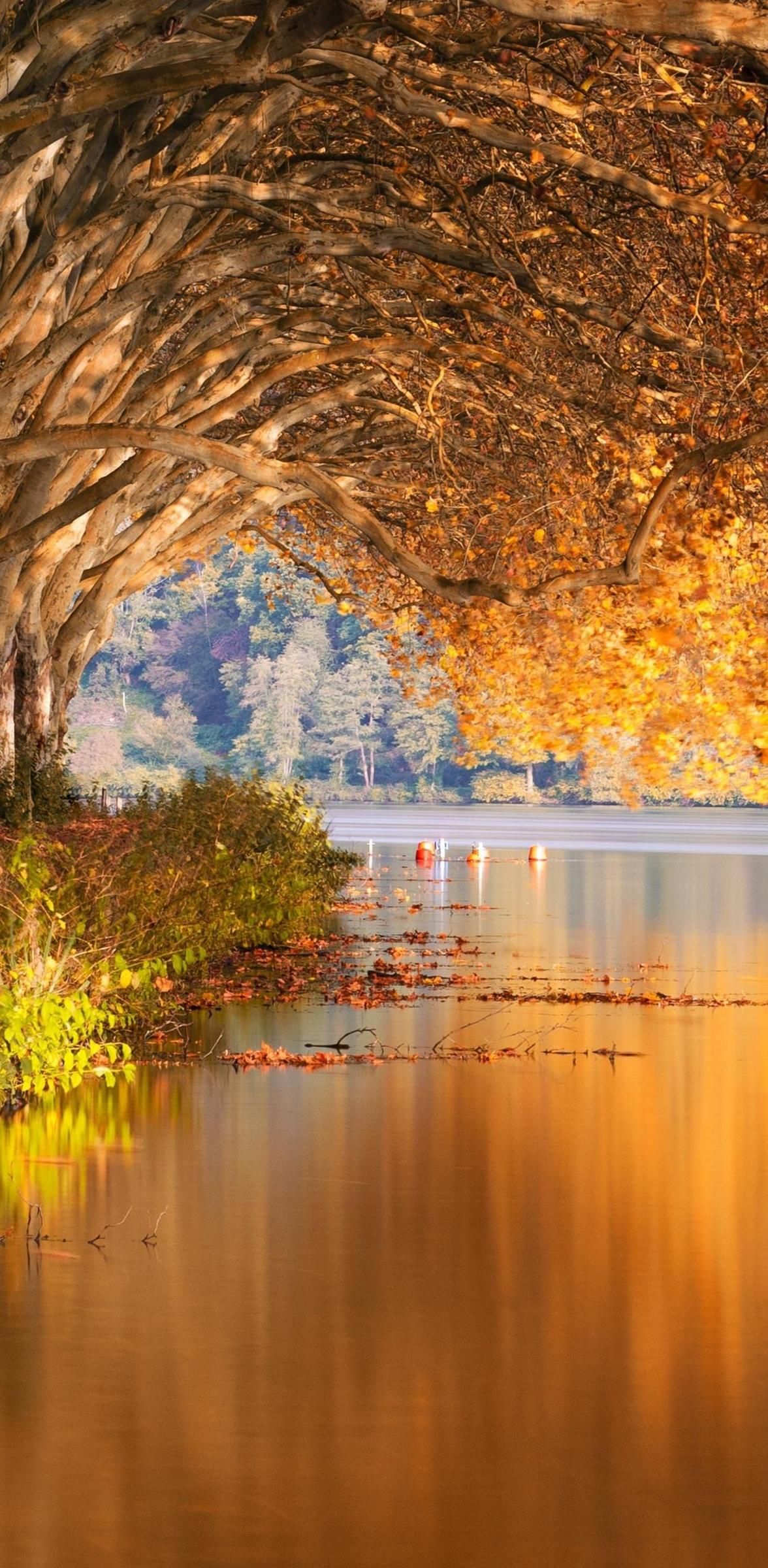 Free download Wallpaper for iPhone 12 Pro and iPhone 12 Pro Max Scenery [1176x2400] for your Desktop, Mobile & Tablet. Explore Outdoor Wallpaper. Outdoor Computer Wallpaper, Outdoor Wallpaper Background, Wallpaper Outdoor