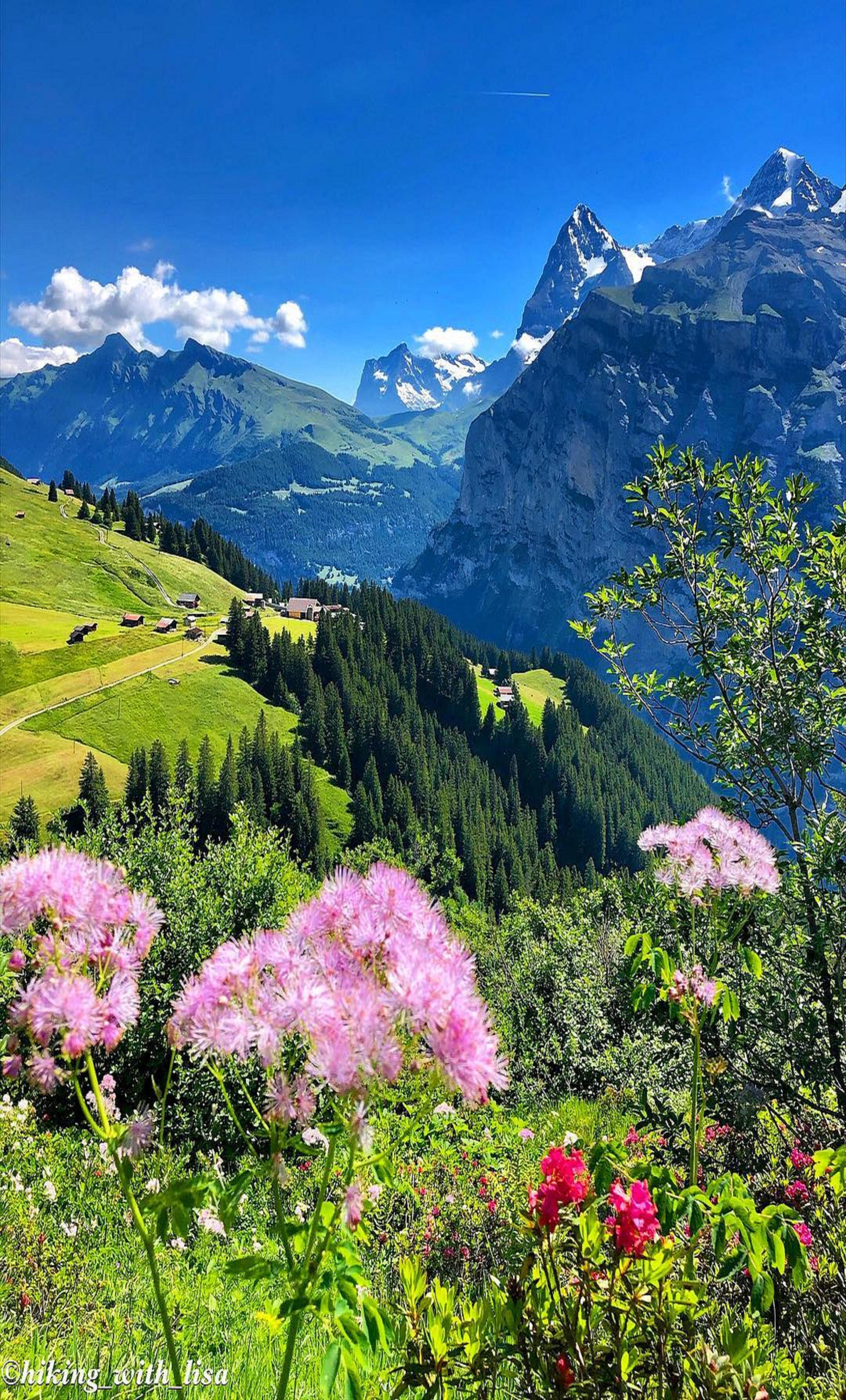 Murren Switzerland Wallpaper