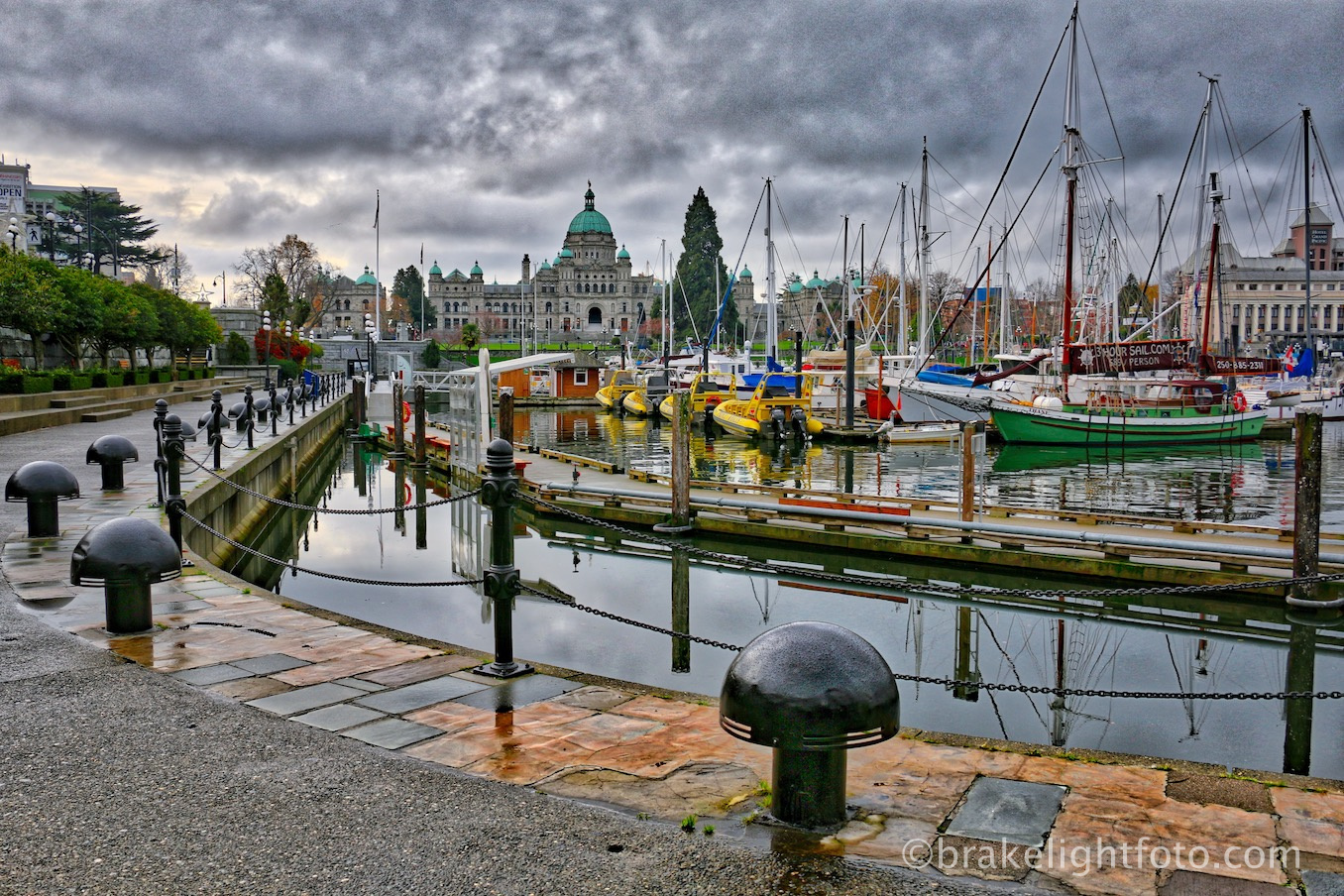 PHOTOS OF VICTORIA & VANCOUVER ISLAND. Visitor In Victoria