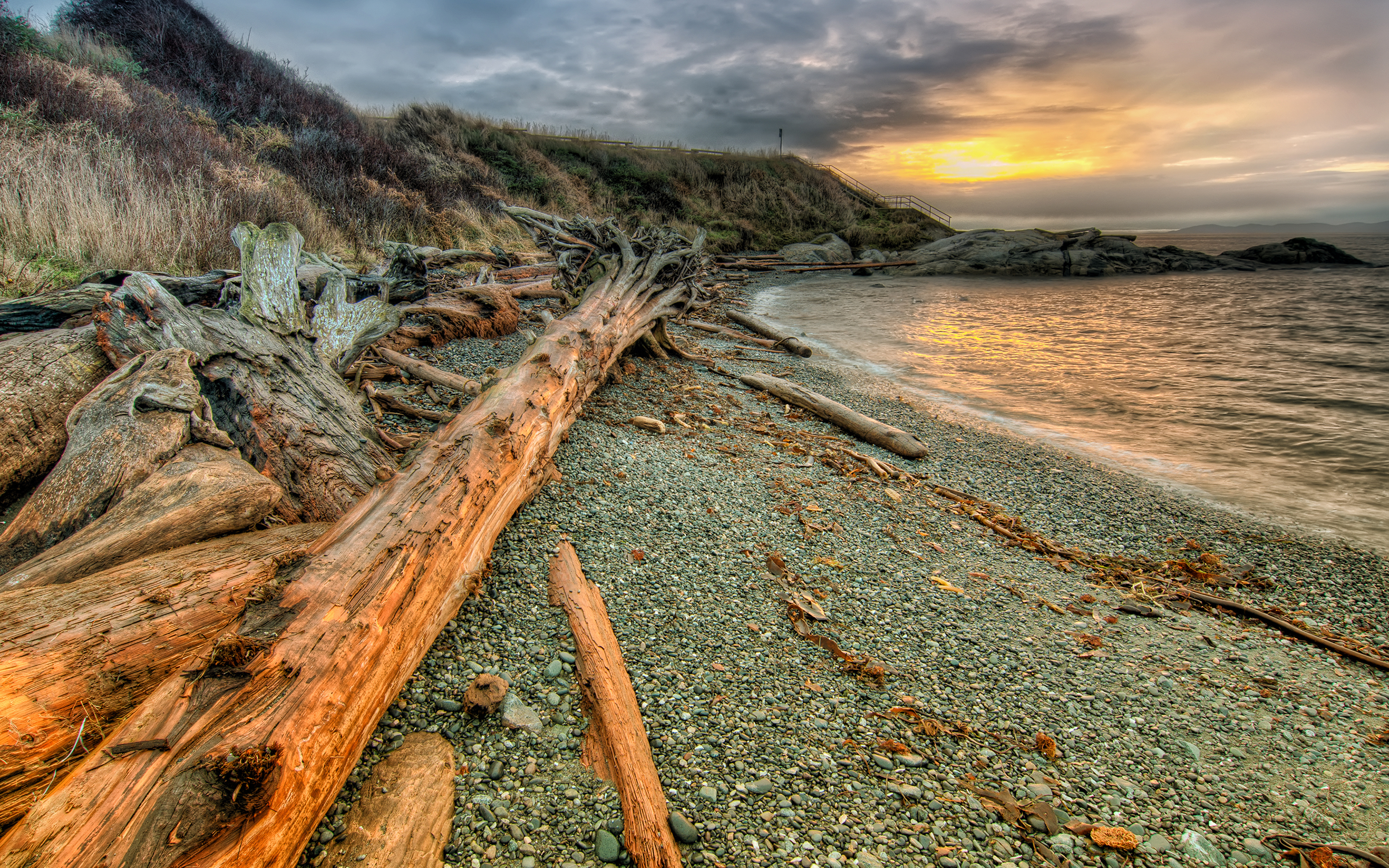 Free download Photo Canada South Victoria British Columbia Nature Trunk 3840x2400 [3840x2400] for your Desktop, Mobile & Tablet. Explore Victoria BC Wallpaper. Seras Victoria Wallpaper, Bc Rich Wallpaper, Victoria Falls Wallpaper