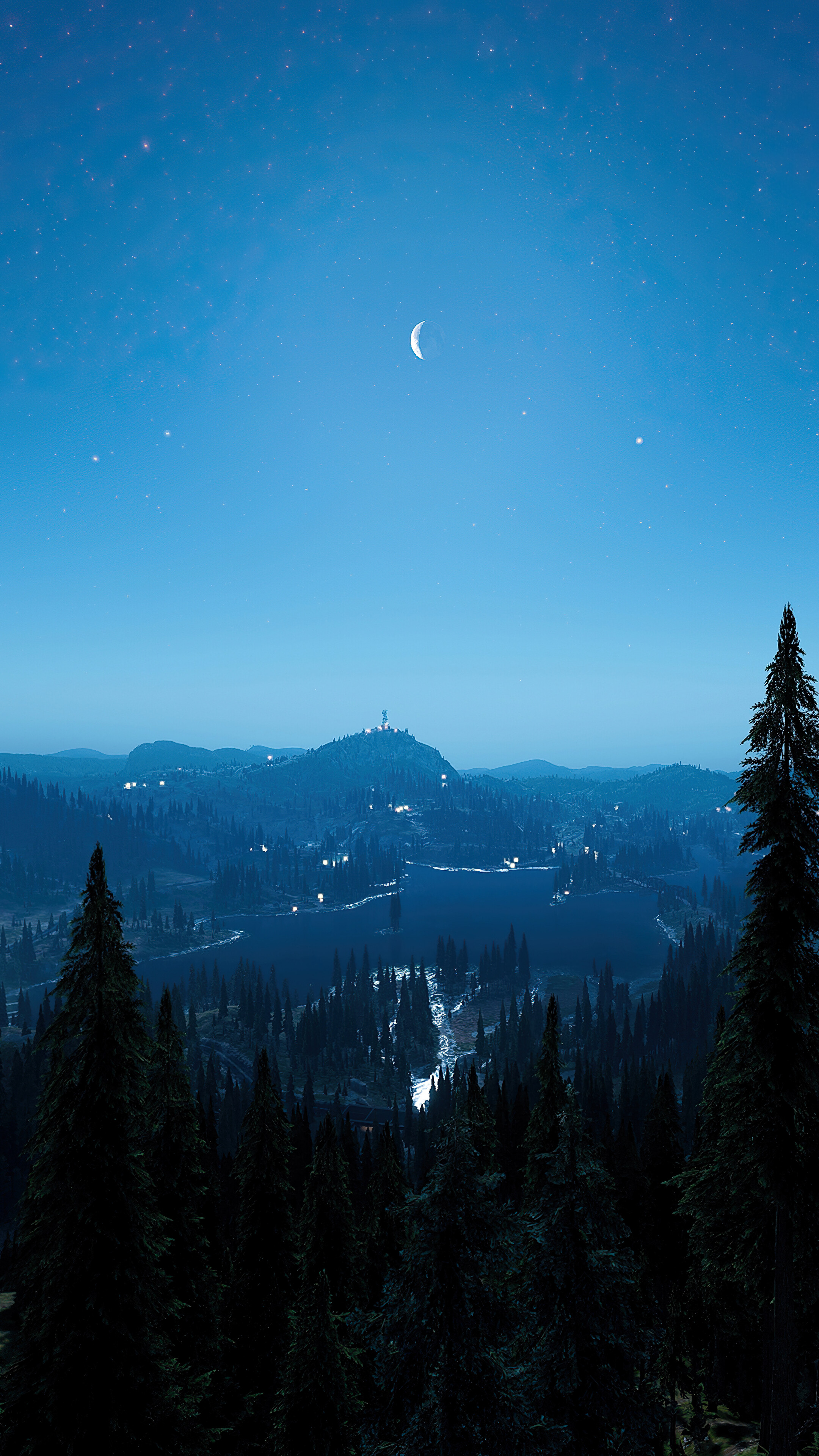 Night, Sky, Forest, Scenery, Landscape, 4k Gallery HD Wallpaper