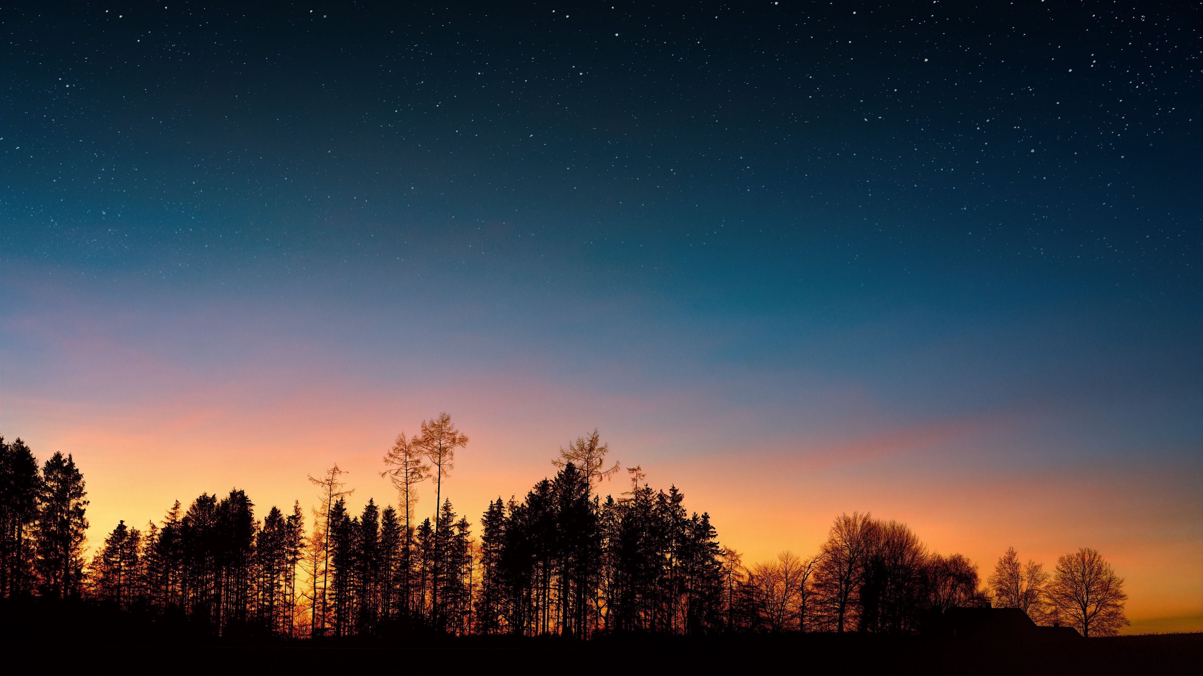 Wallpaper / starry sky, trees, sunset, night, forest, 4k free download