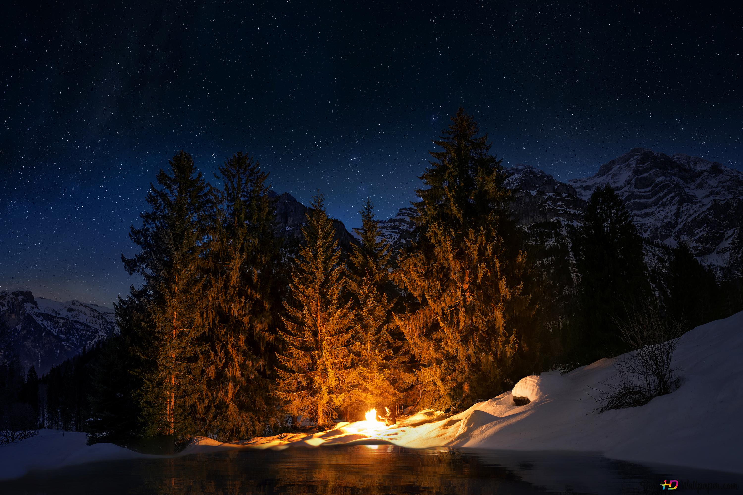 Camp Fire in night forest 4K wallpaper download