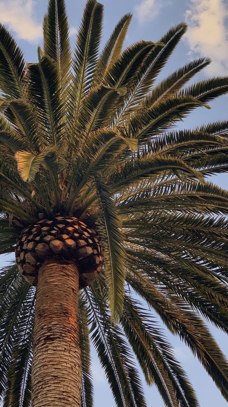 Épinglé sur 2022 vision board