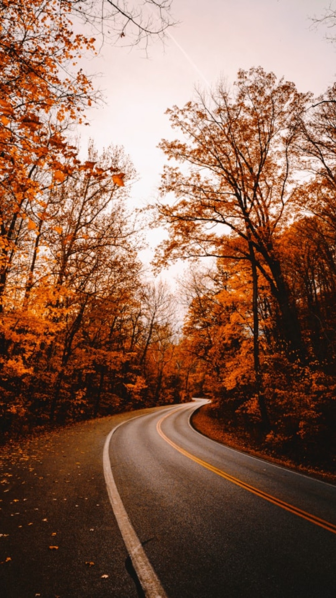 Autumn Fall Wallpaper Autumn Fall Wallpaper Download