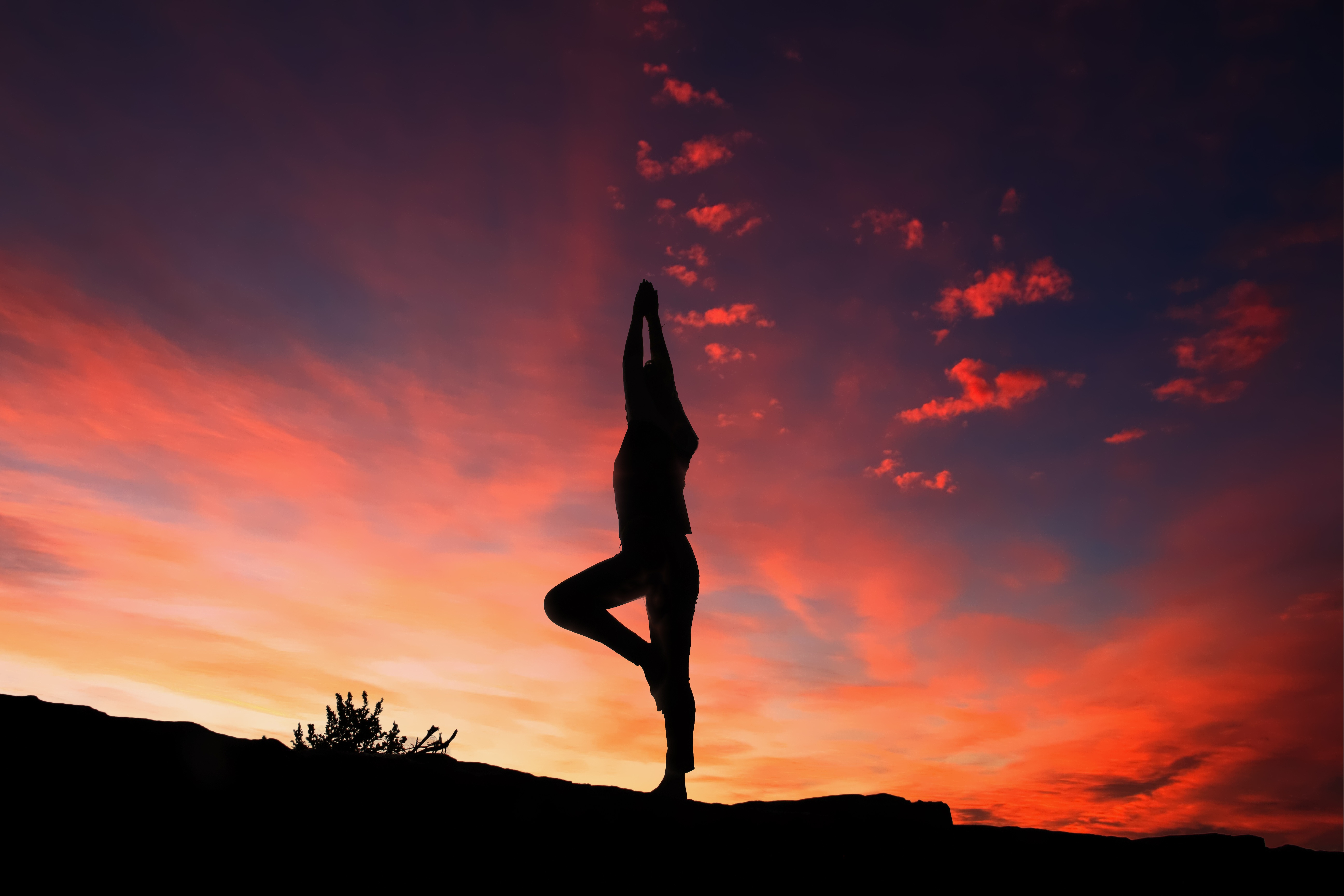 Download Yoga wallpaper for mobile phone, free Yoga HD picture