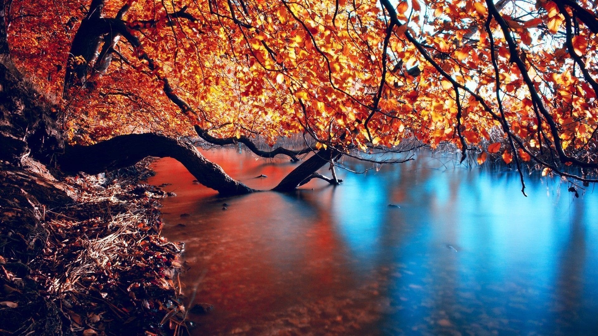 Autumn Wallpaper